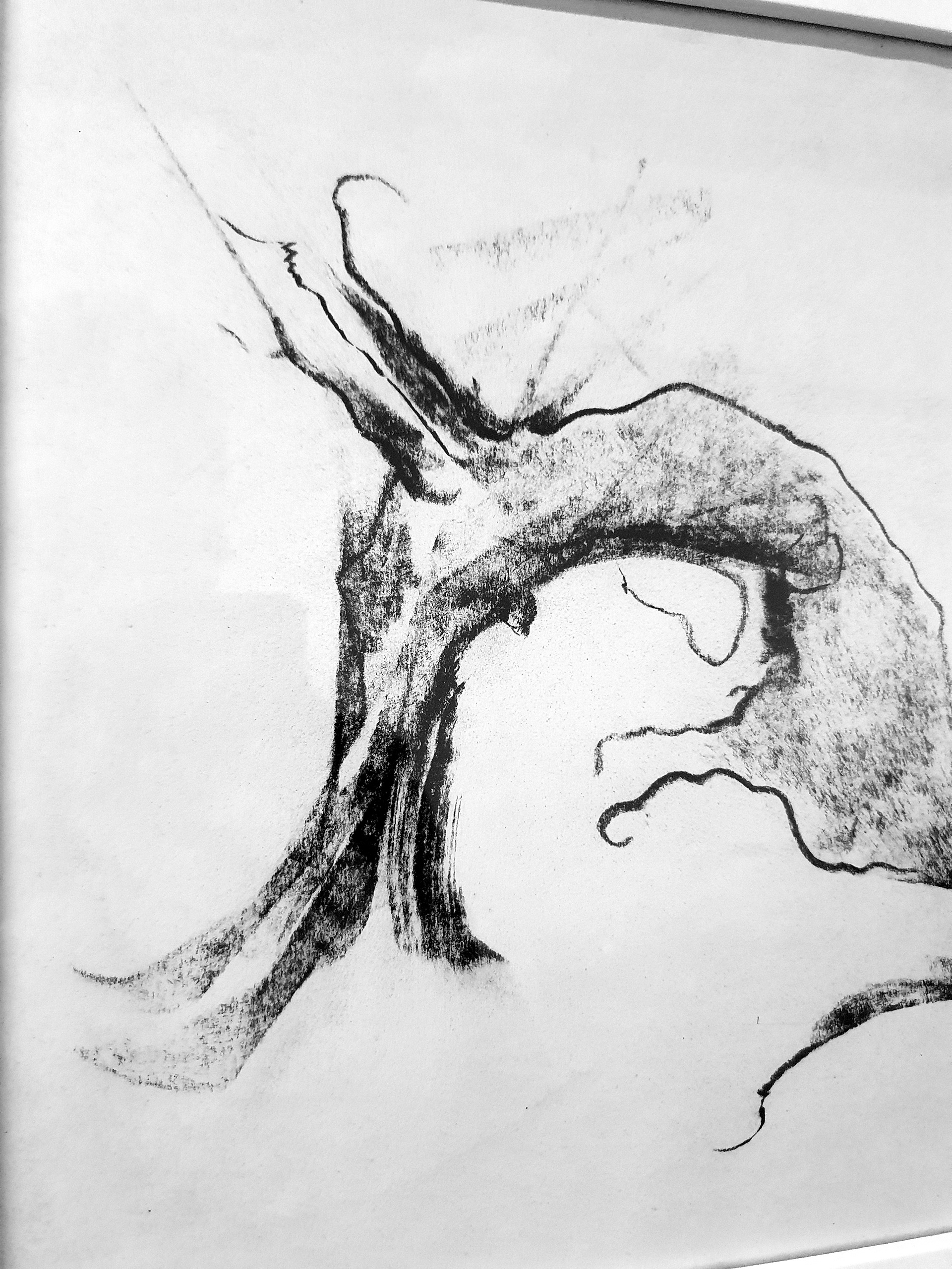 A3 (42x29.7cm)