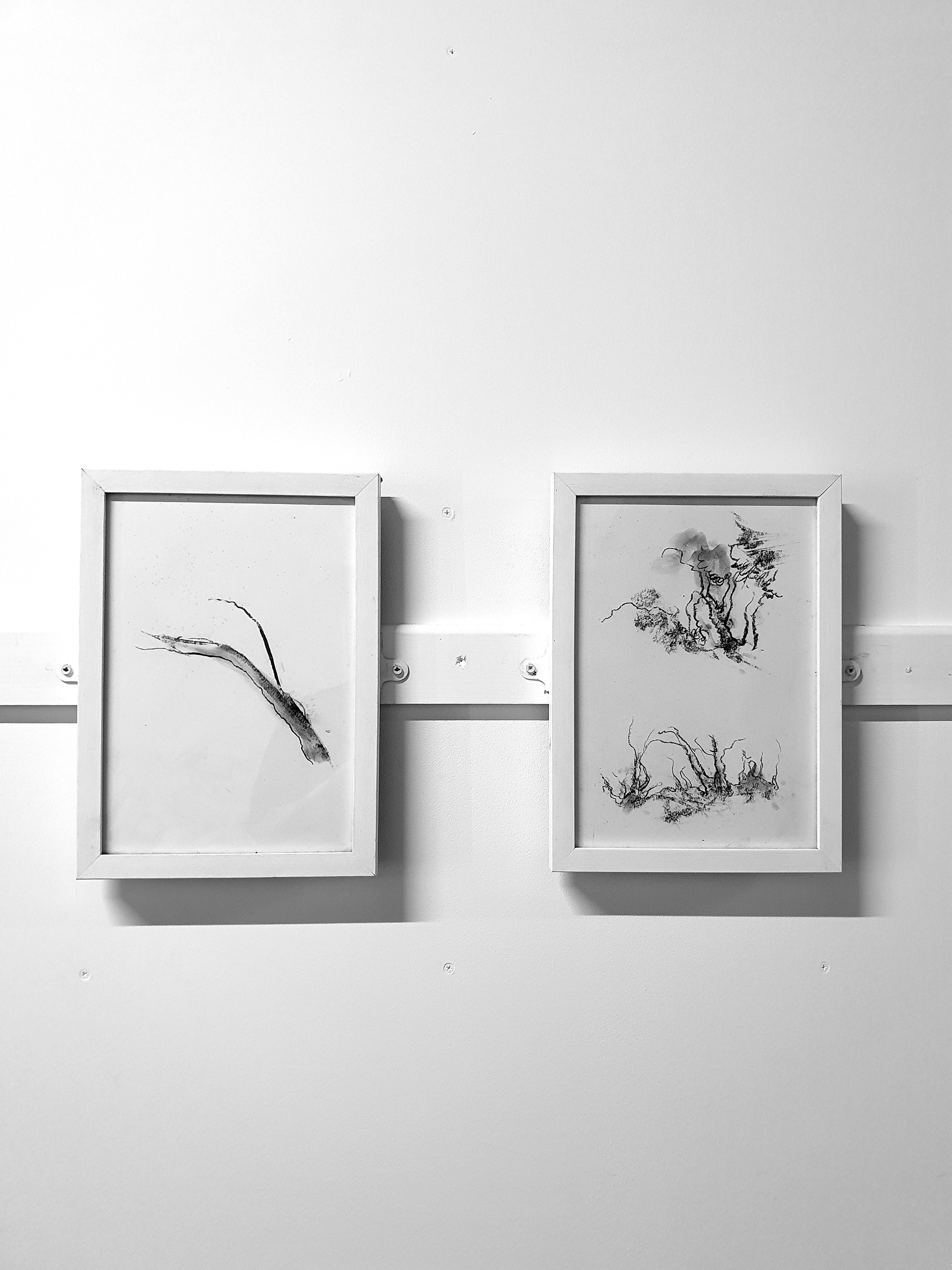 A4 (21x29.7cm)