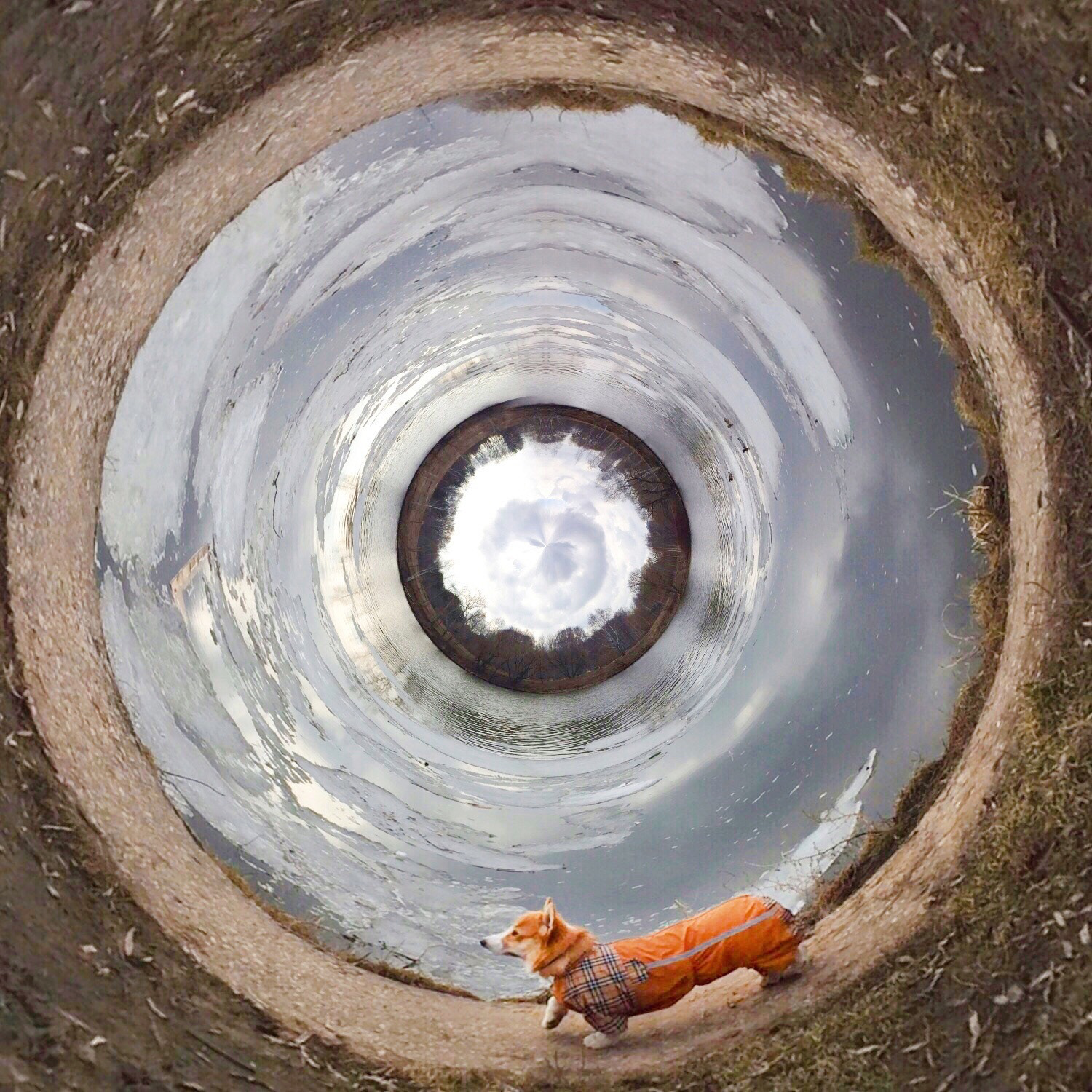 Moscow, Russia. 2017