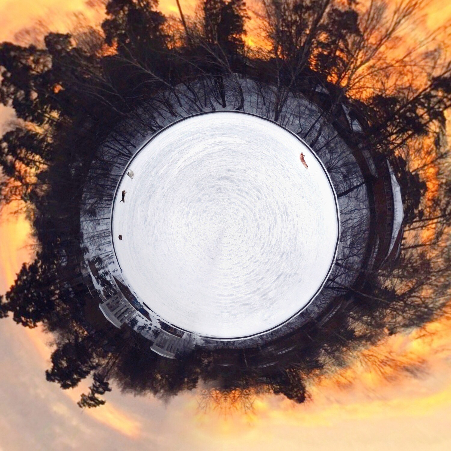 Moscow, Russia. 2019