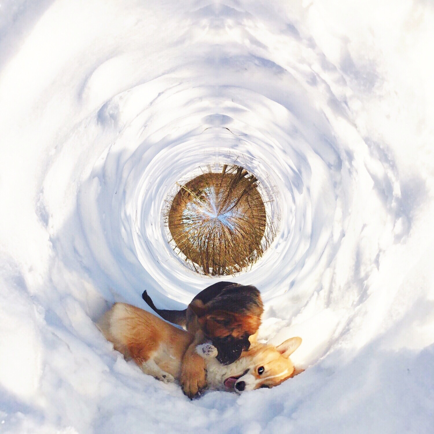 Moscow, Russia. 2017