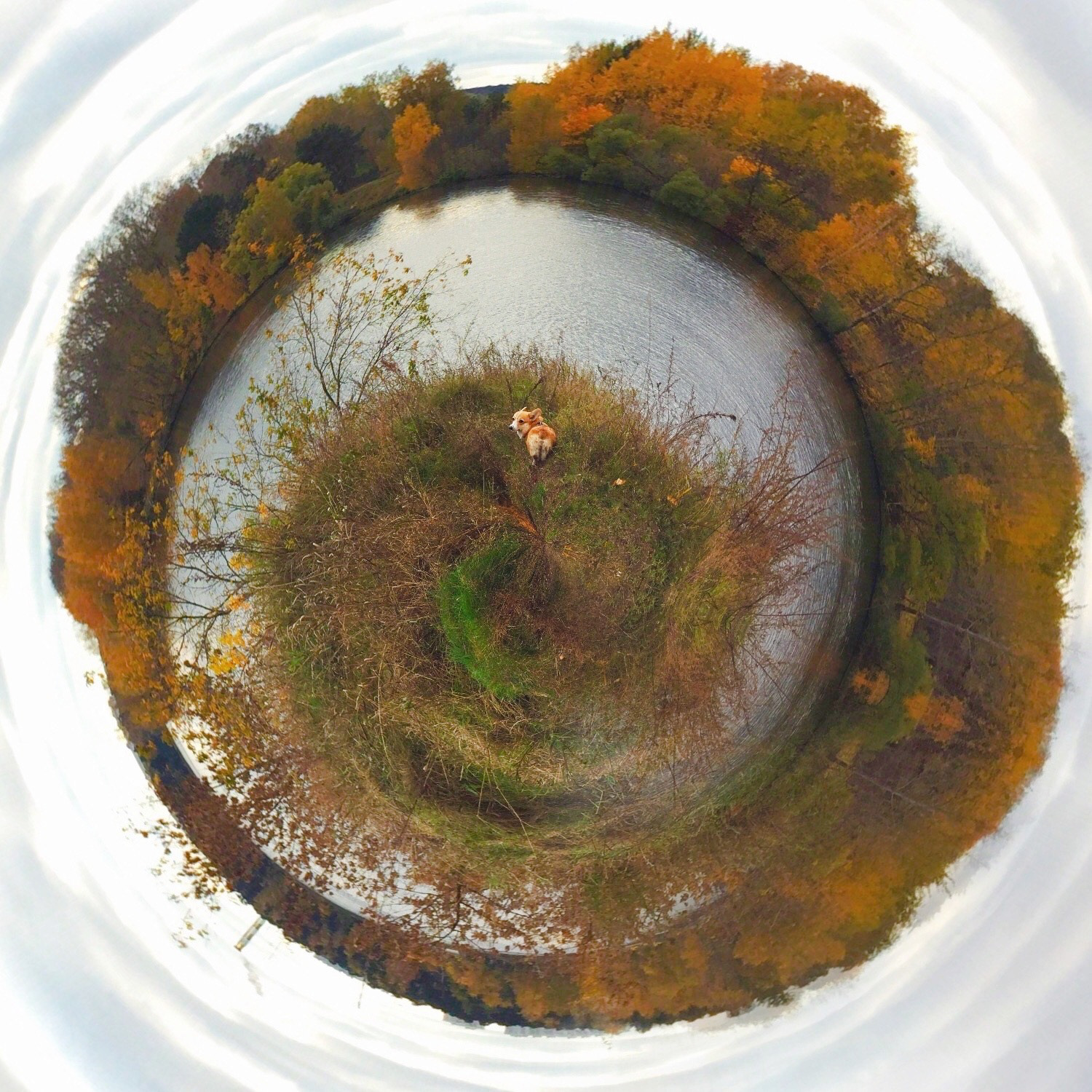 Moscow, Russia. 2017