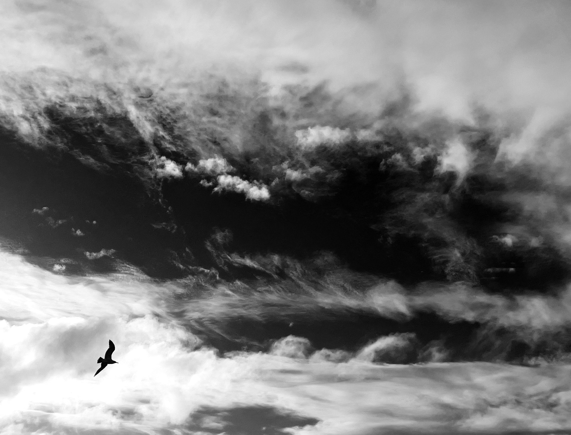 Flying Solo