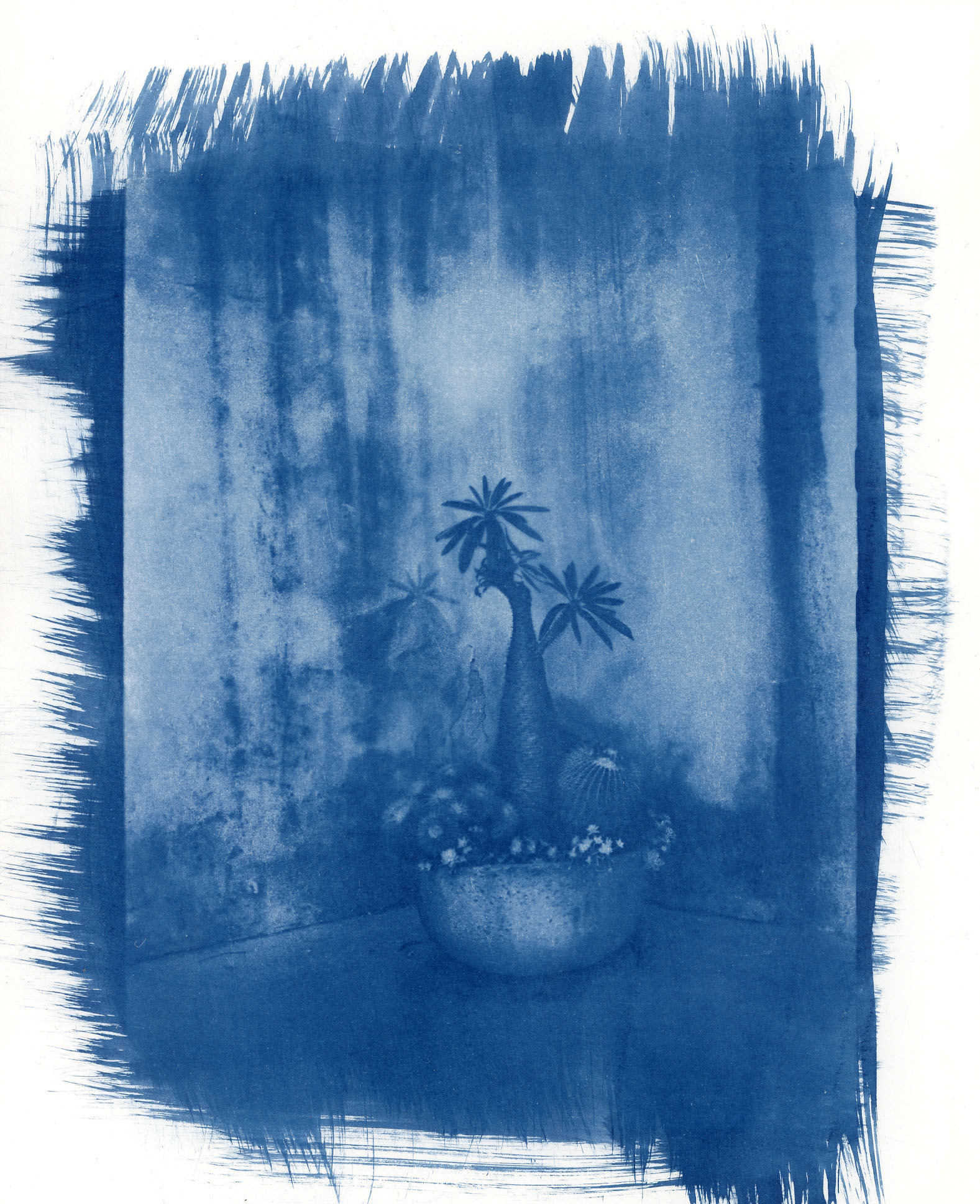 Balboa Park #1
