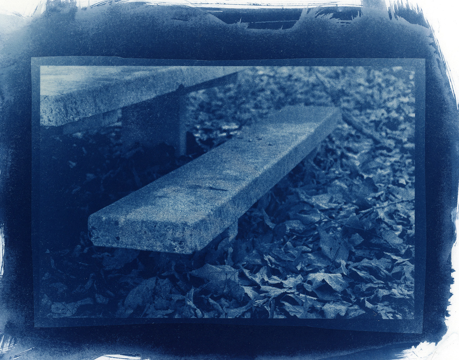Bench in Winter