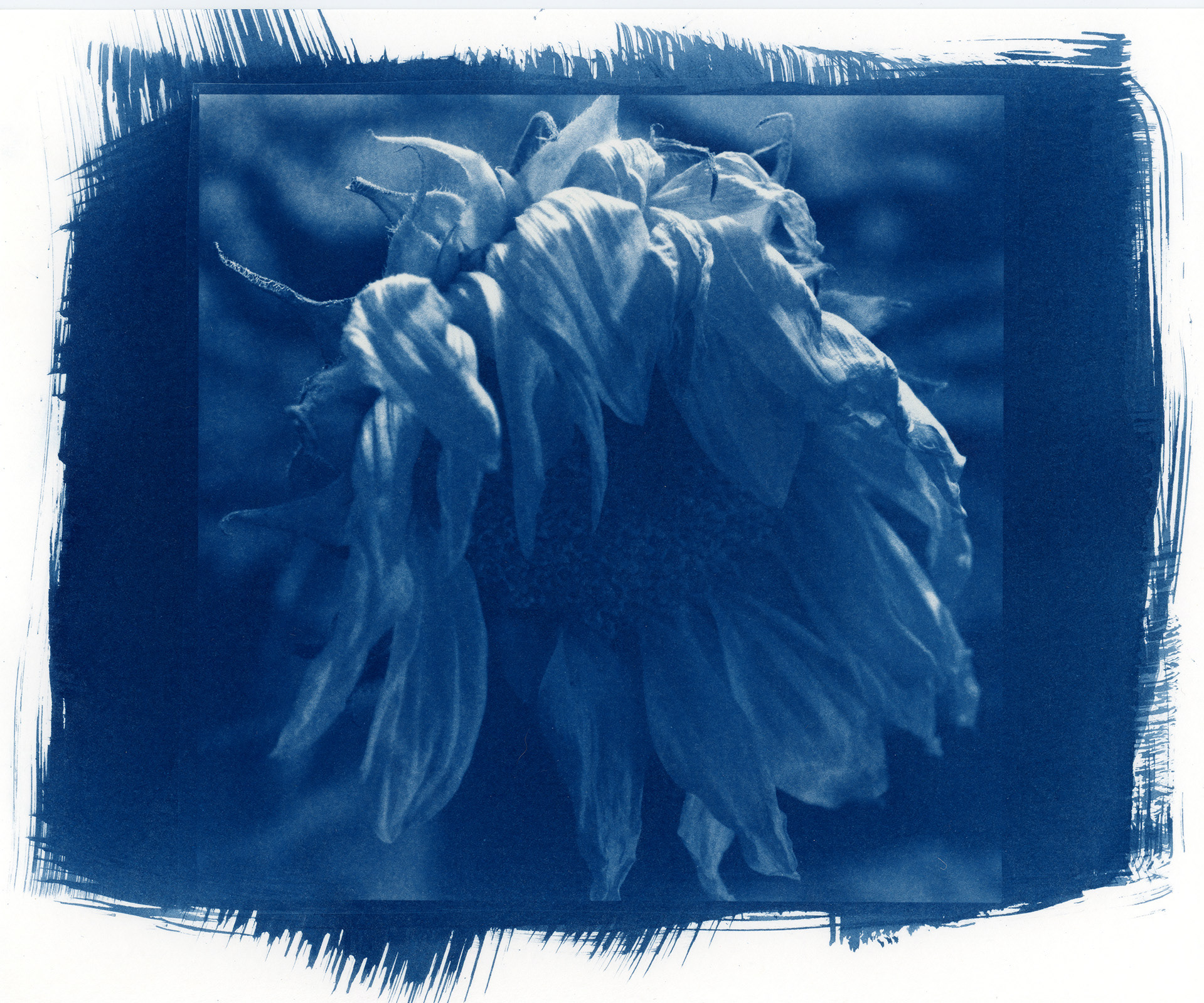 Still Life #2
