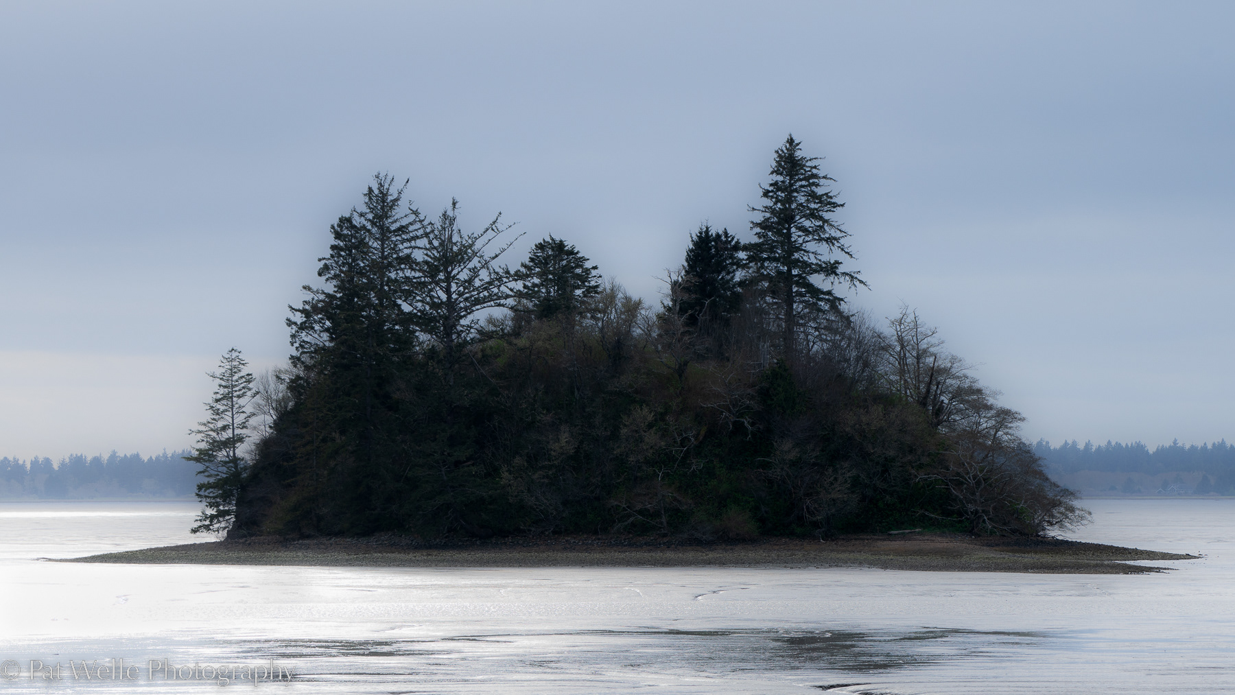 Round Island in Willapa Bay