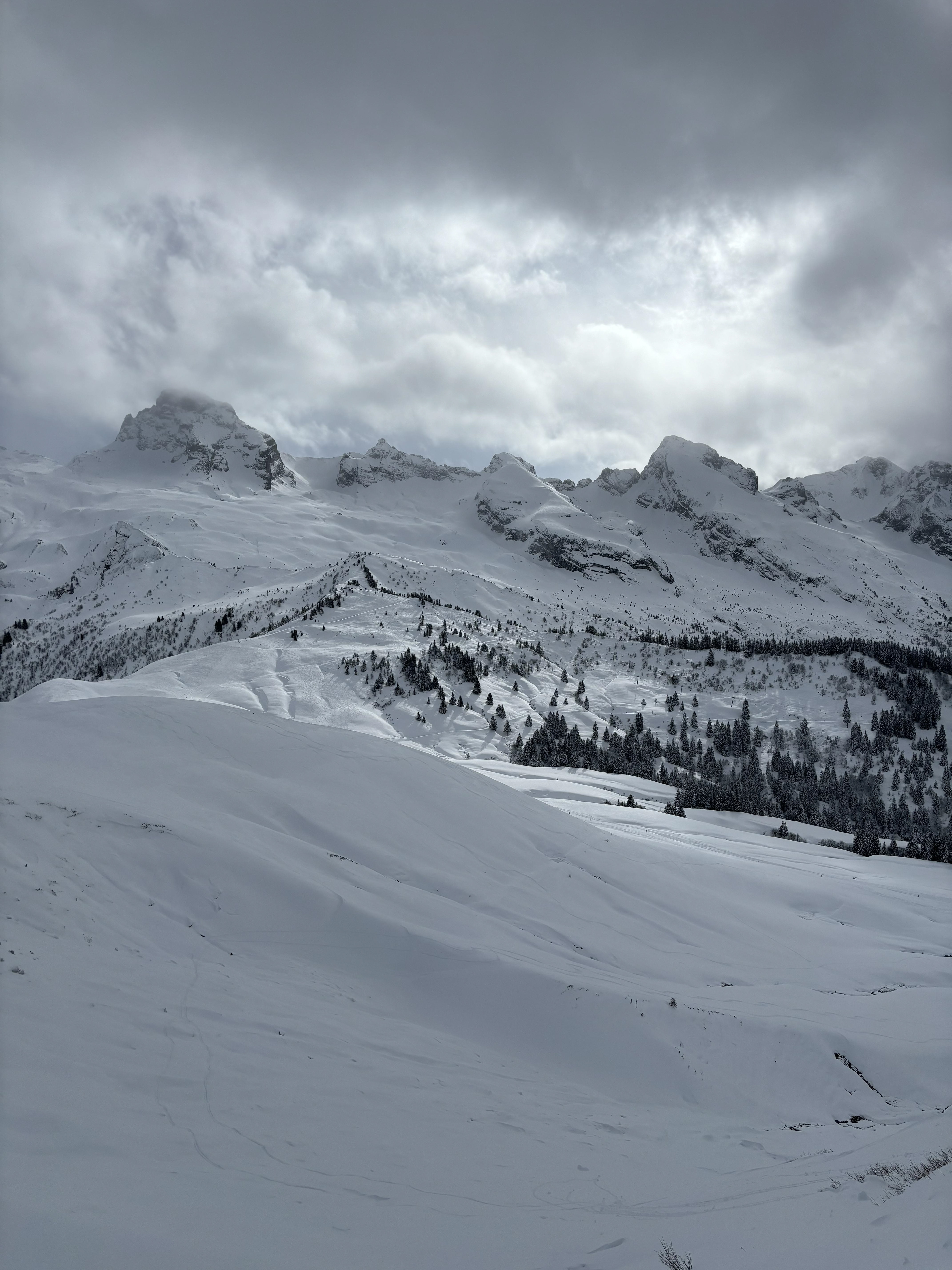 Aravis