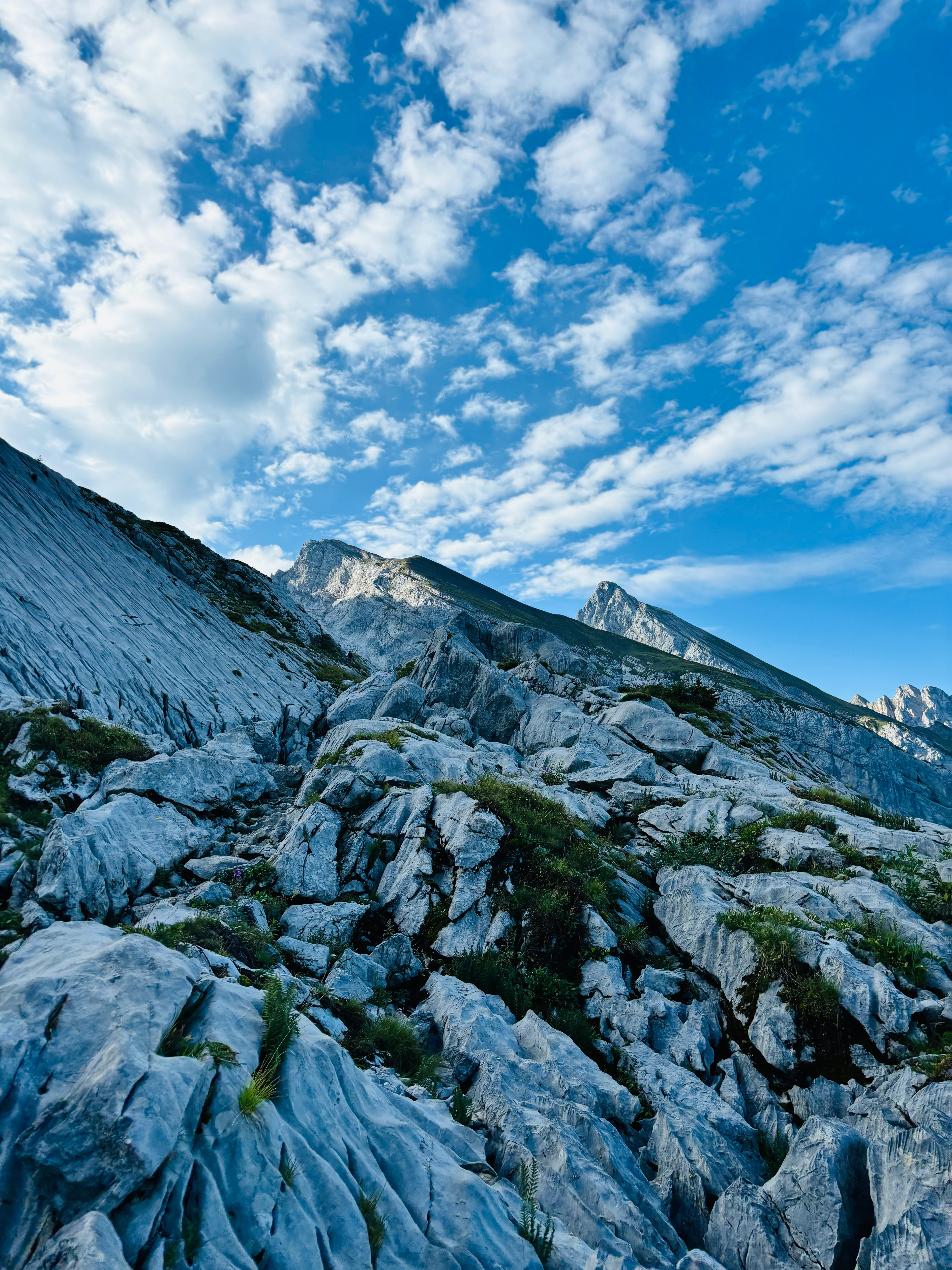 Pointe percée