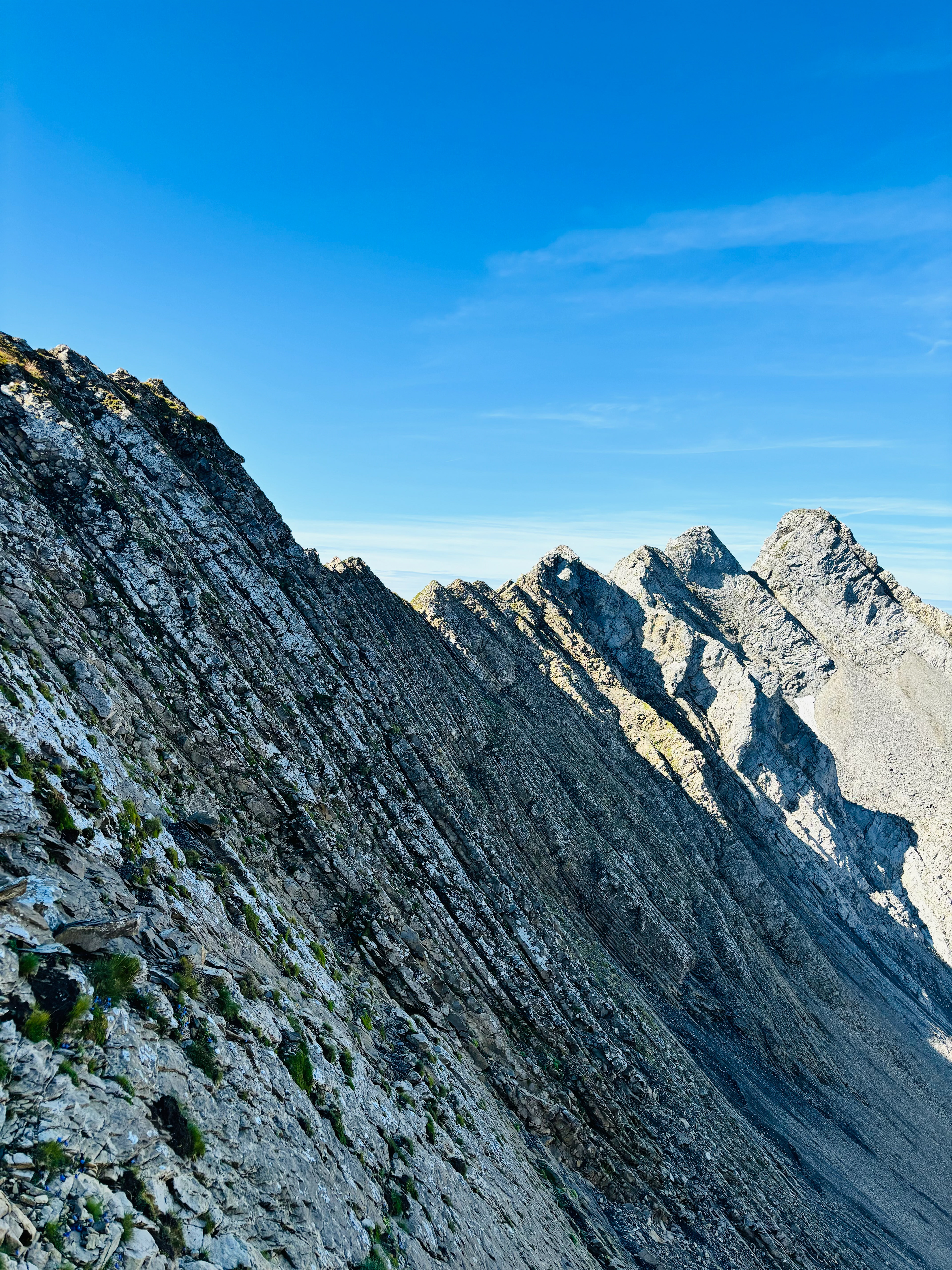 Aravis