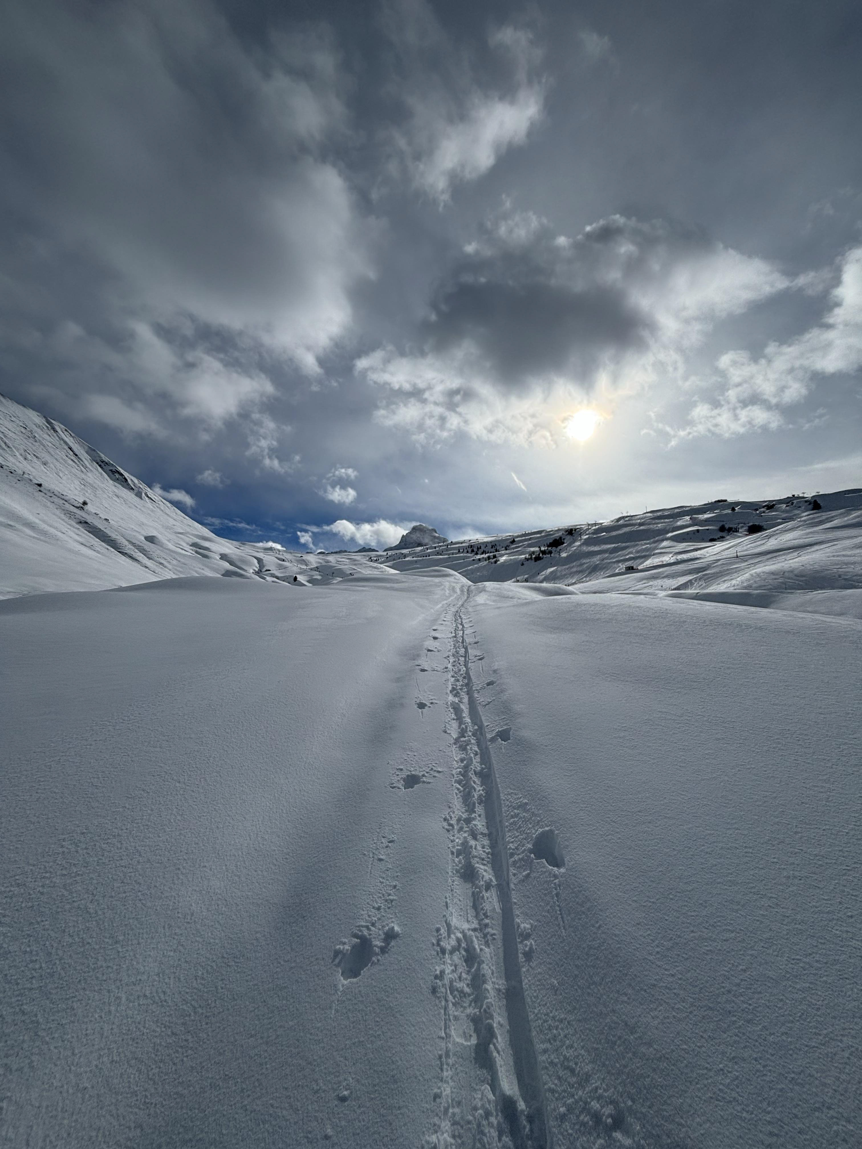 Aravis