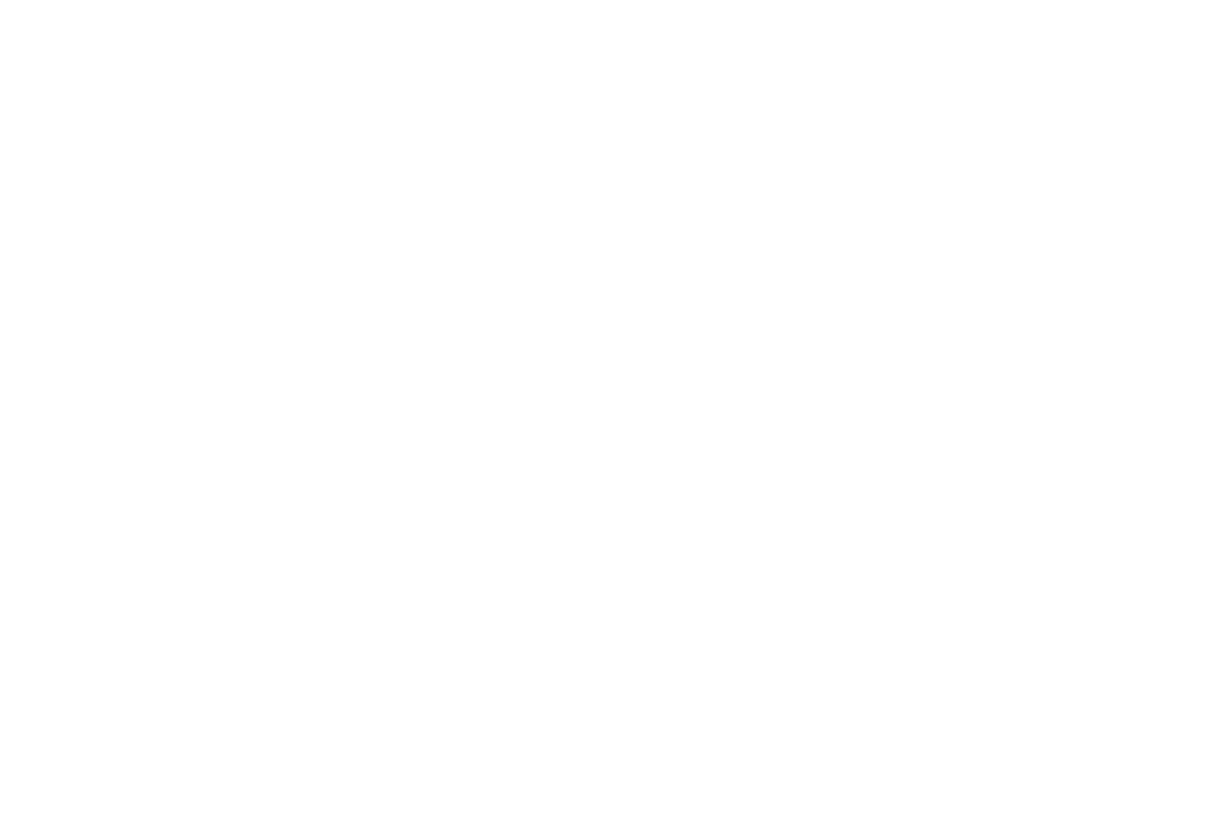 José Luis Valdizán