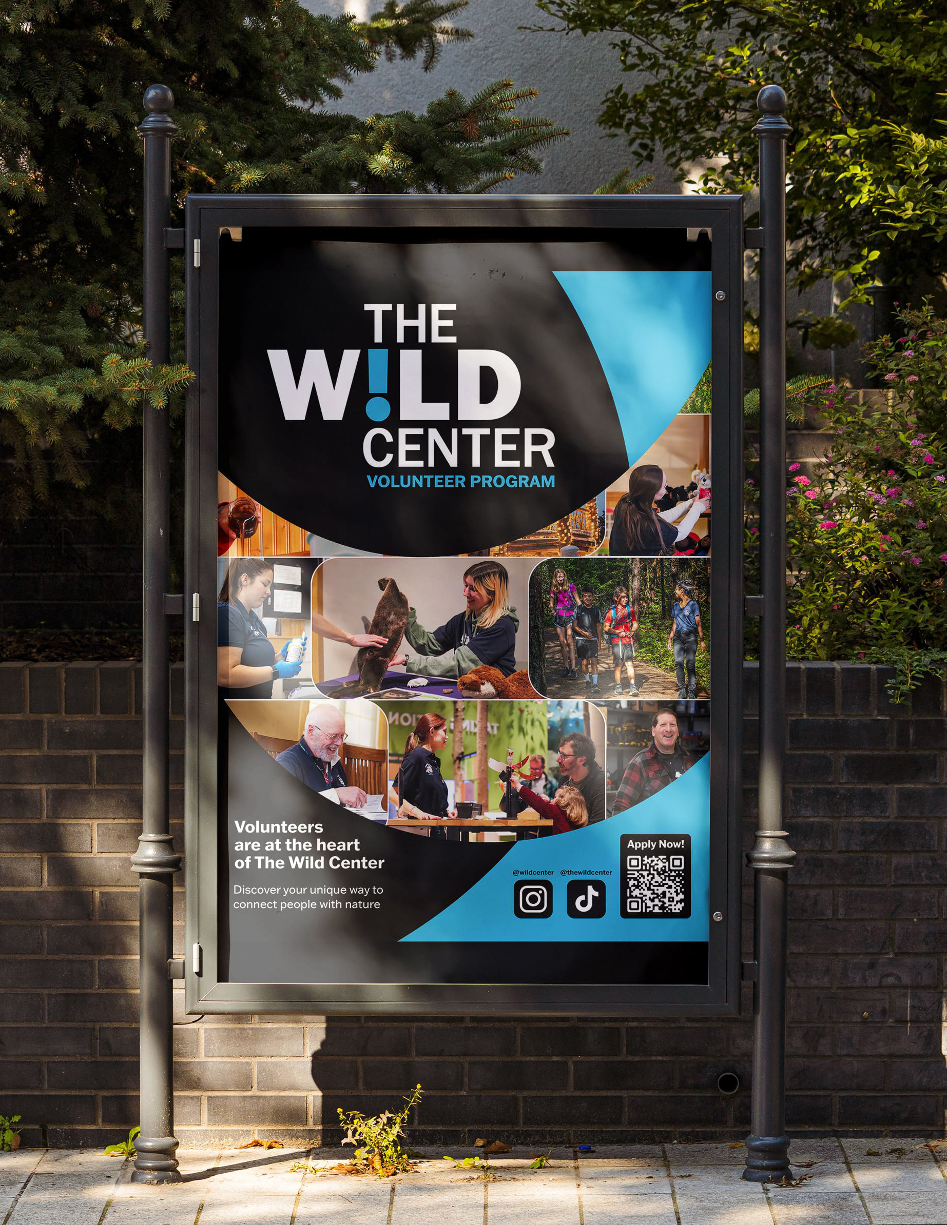 printed poster outside promoting The Wild Center volunteer program