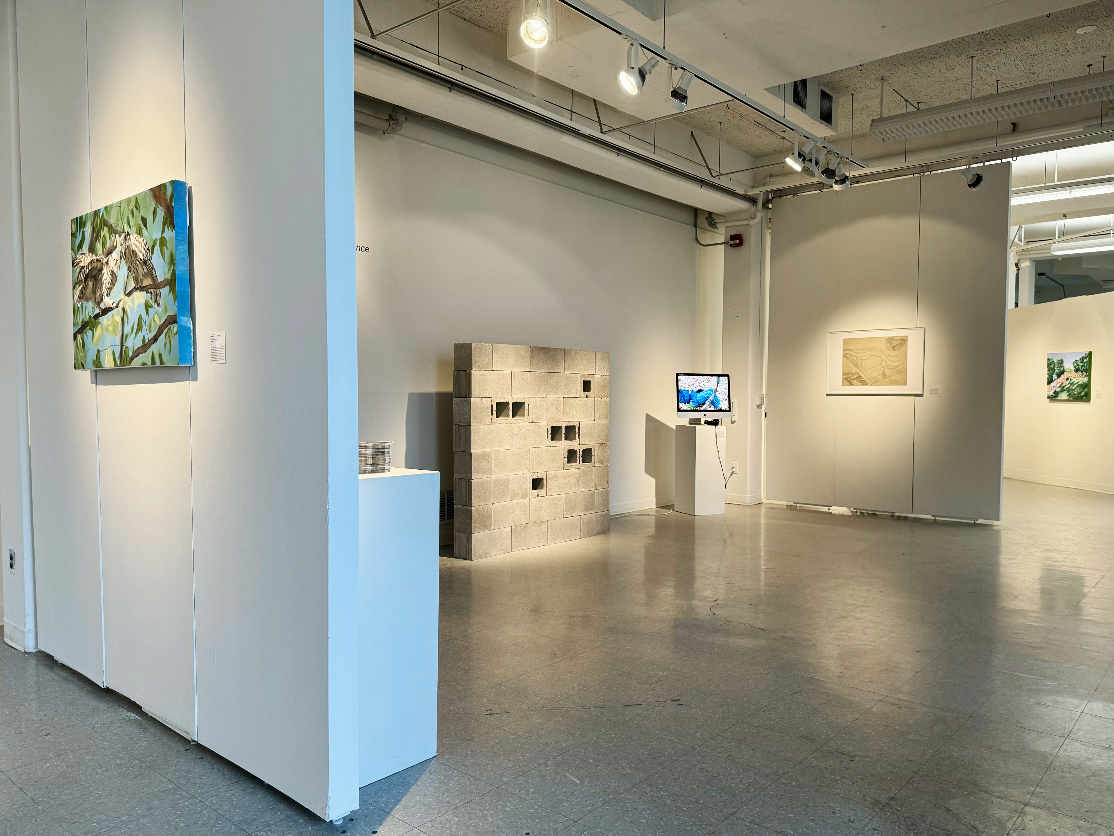 Gallery view of installation