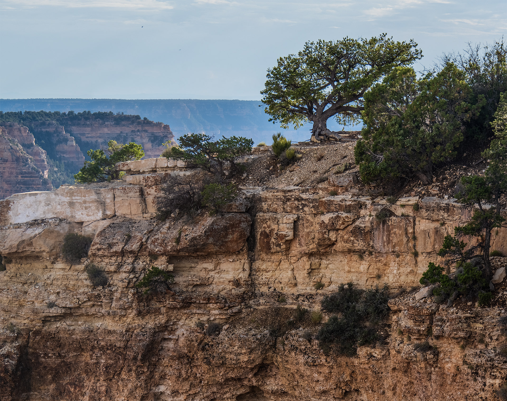 Grand Canyon North Rim AZ