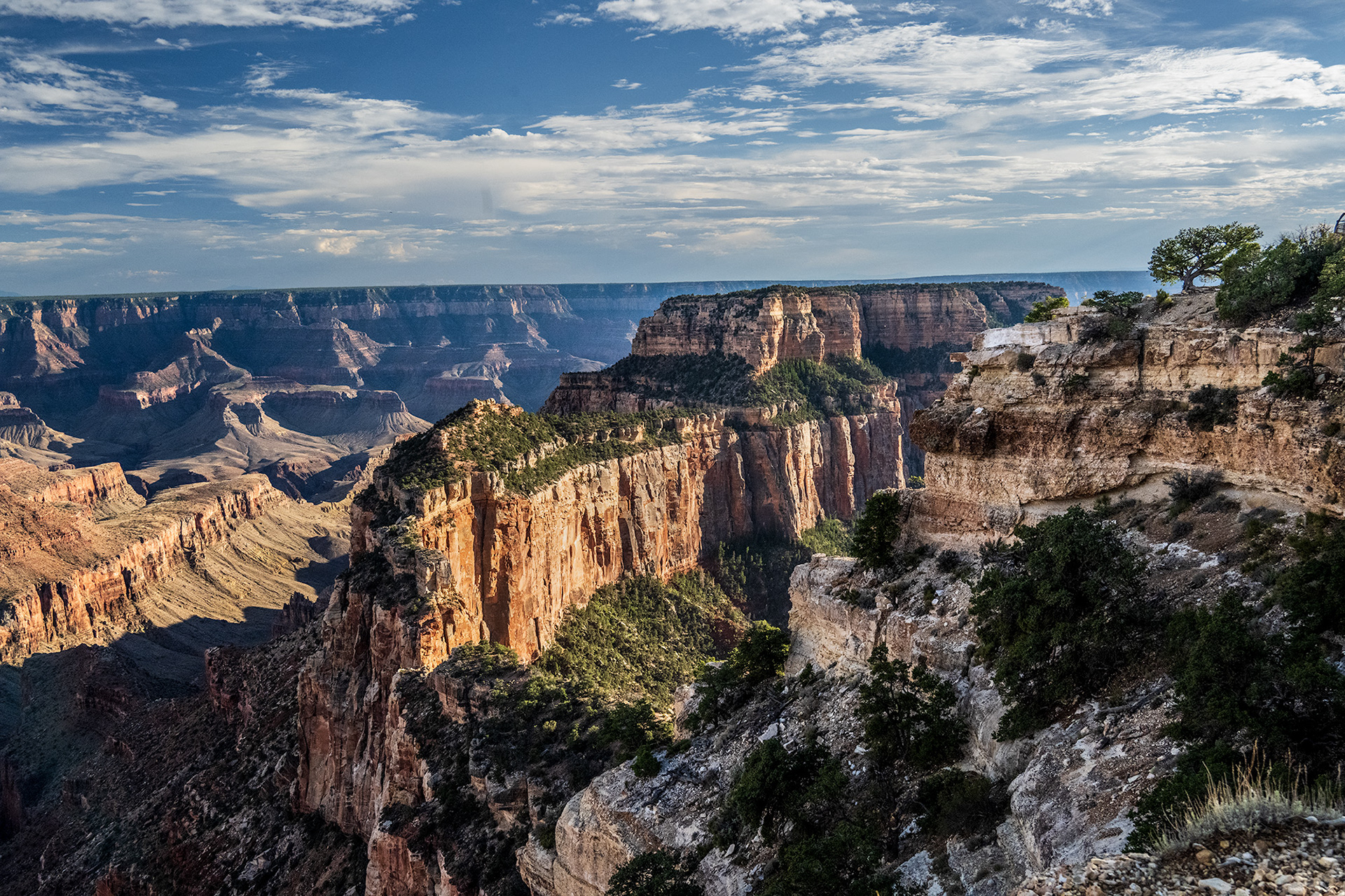 Grand Canyon North Rim AZ