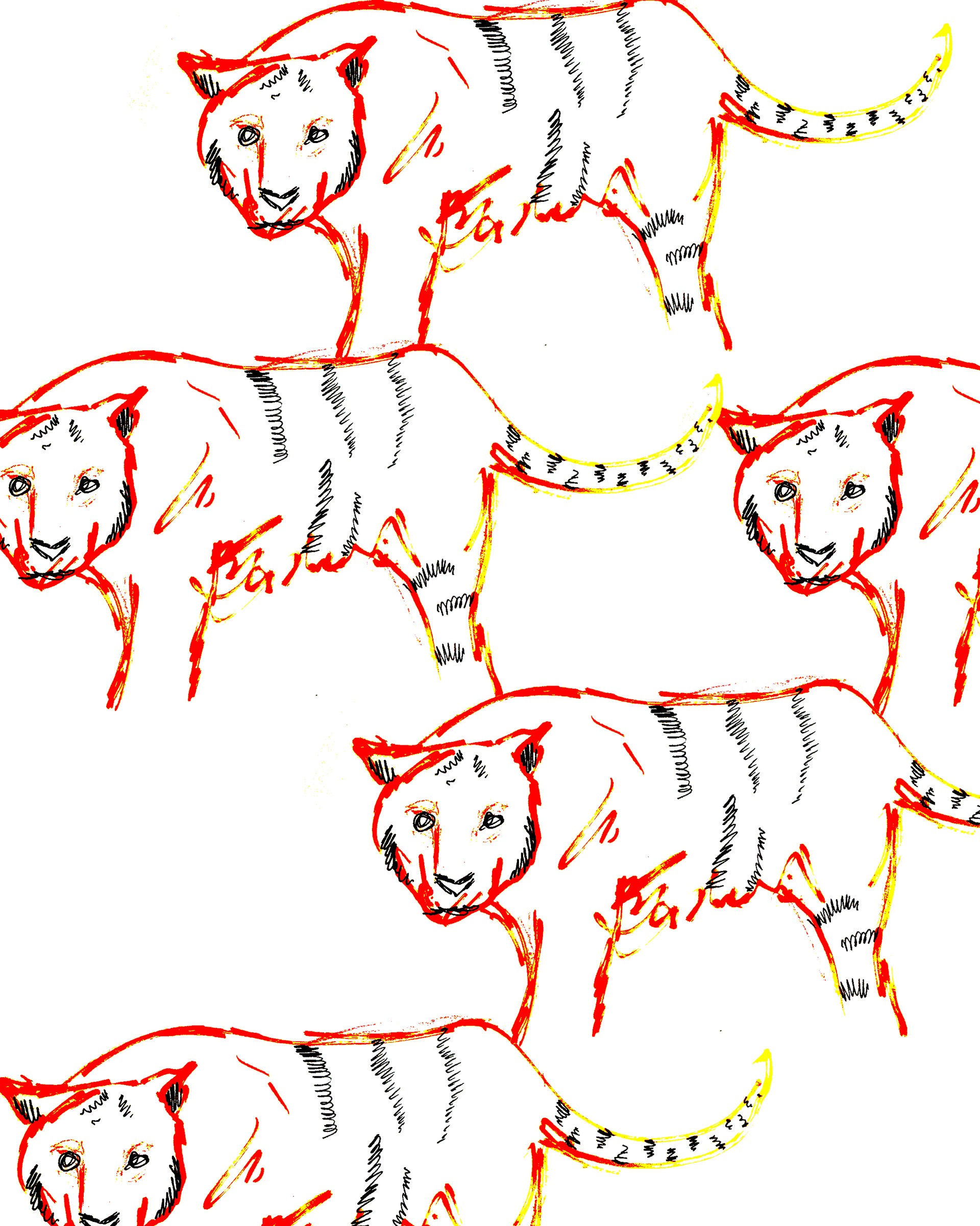 Tiger study