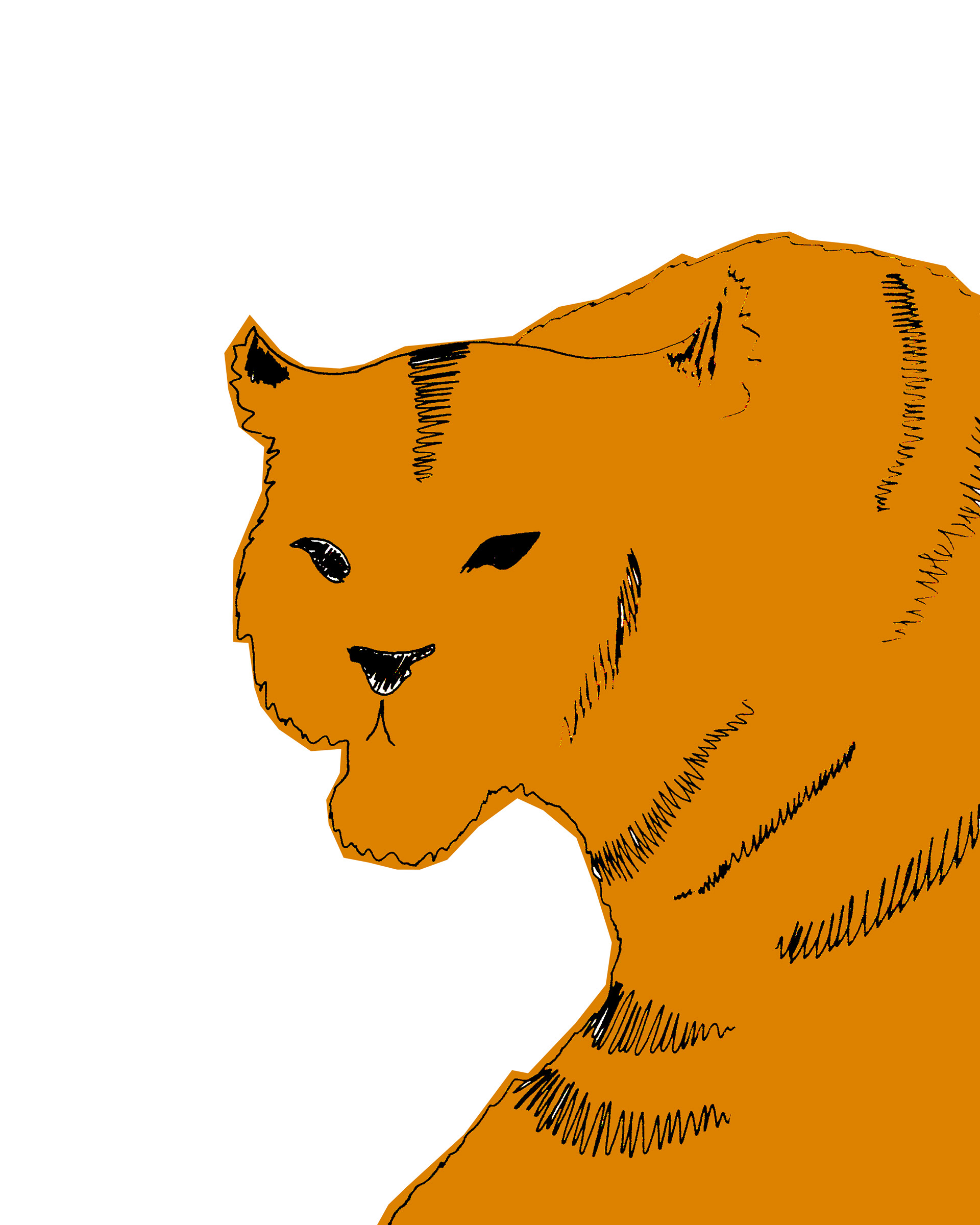 Tiger study