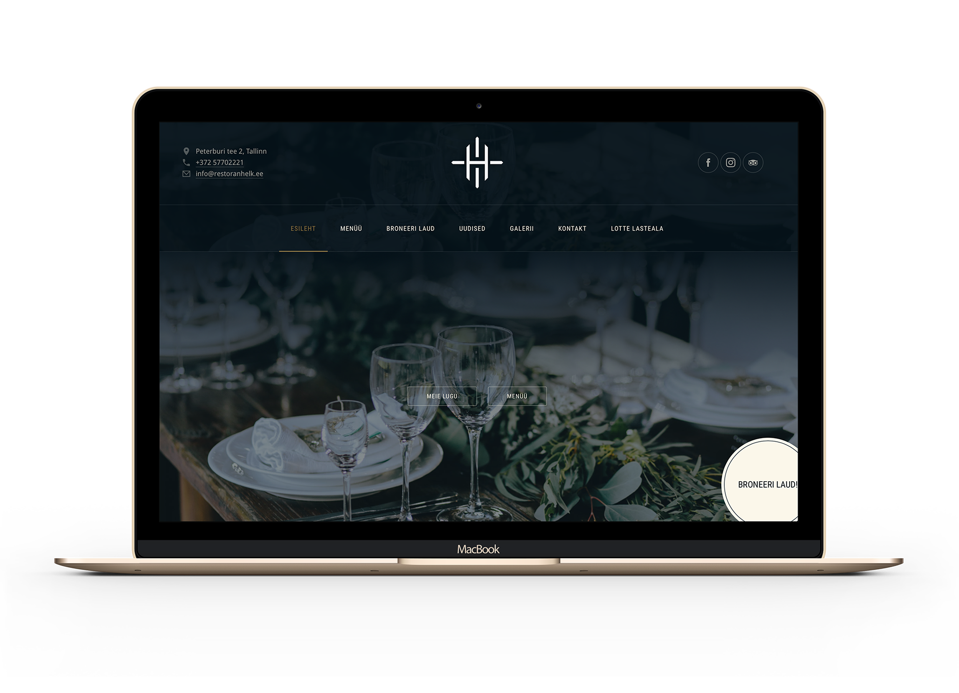 Veebidisain - Visuaalne identiteet, bränding, veebilehe kujundus