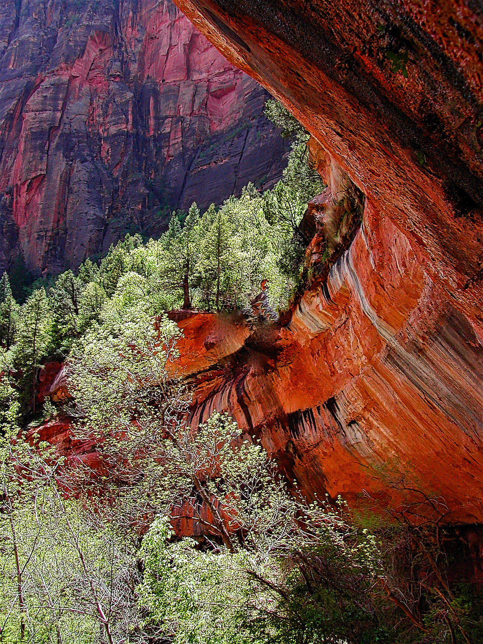 LS0404_0056AB  ~  The Canyon