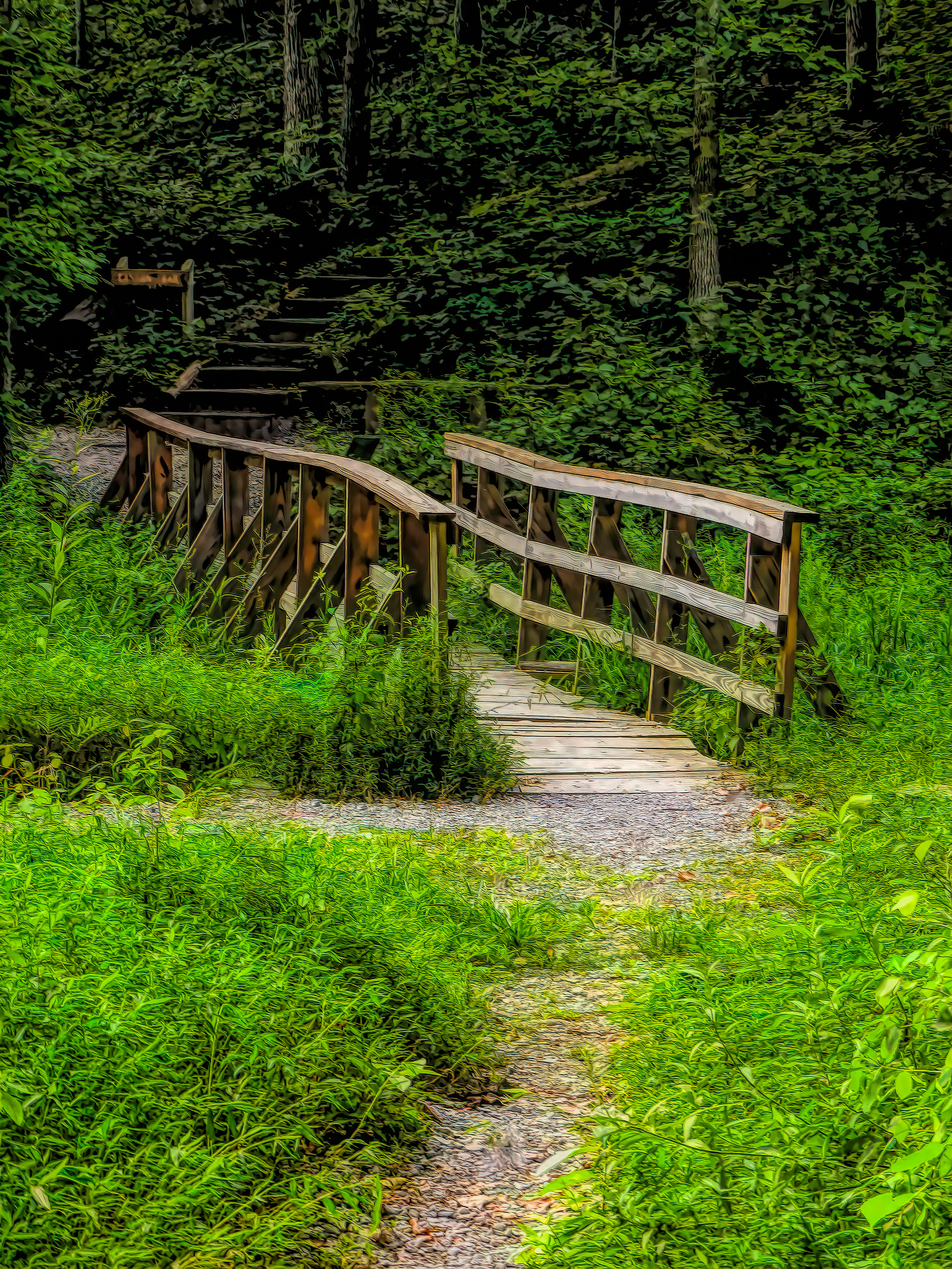 PW1108_0324AL  ~  Forest Crossing