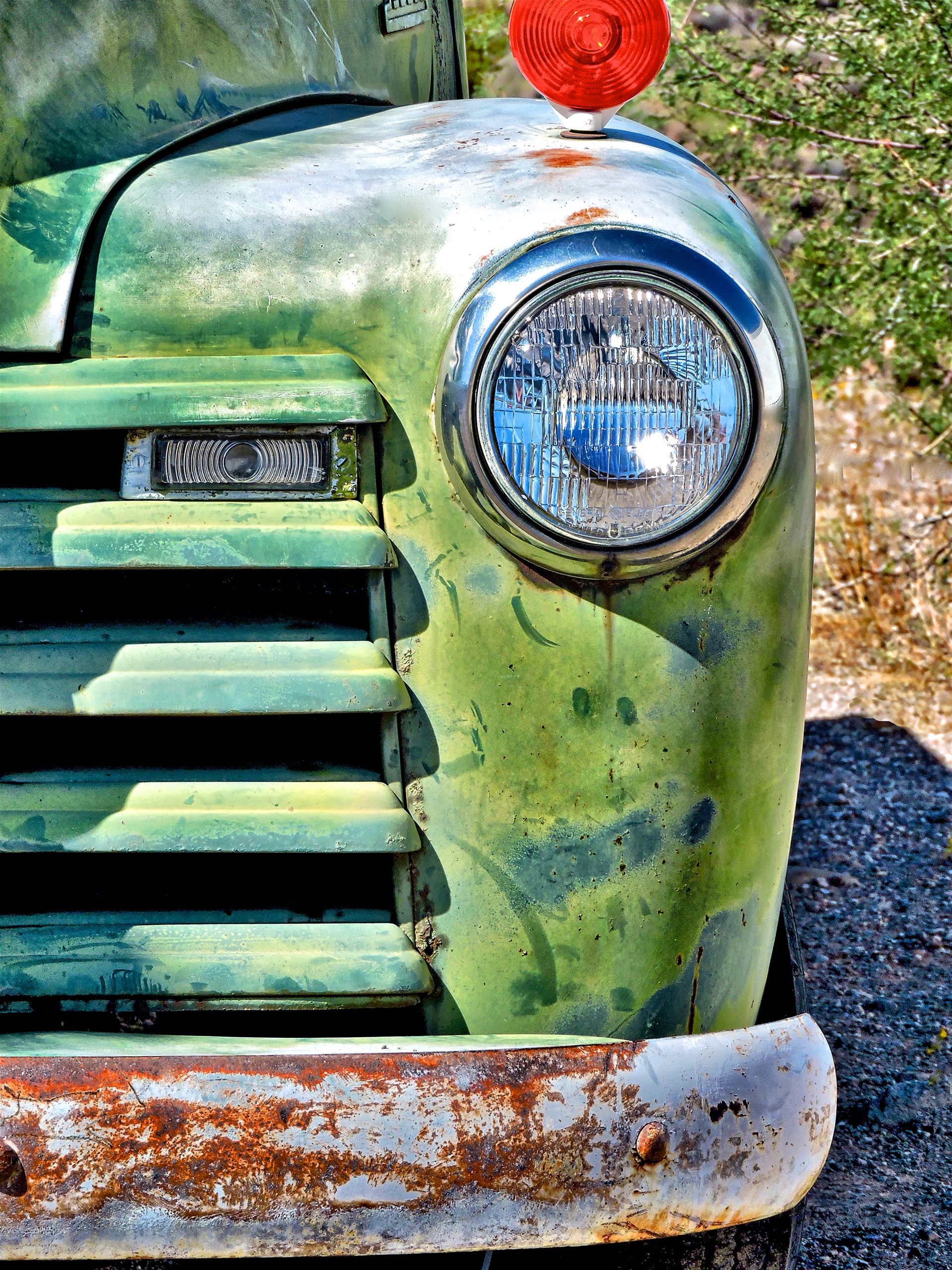 VS1409_0287AB  ~  Bright Eyes