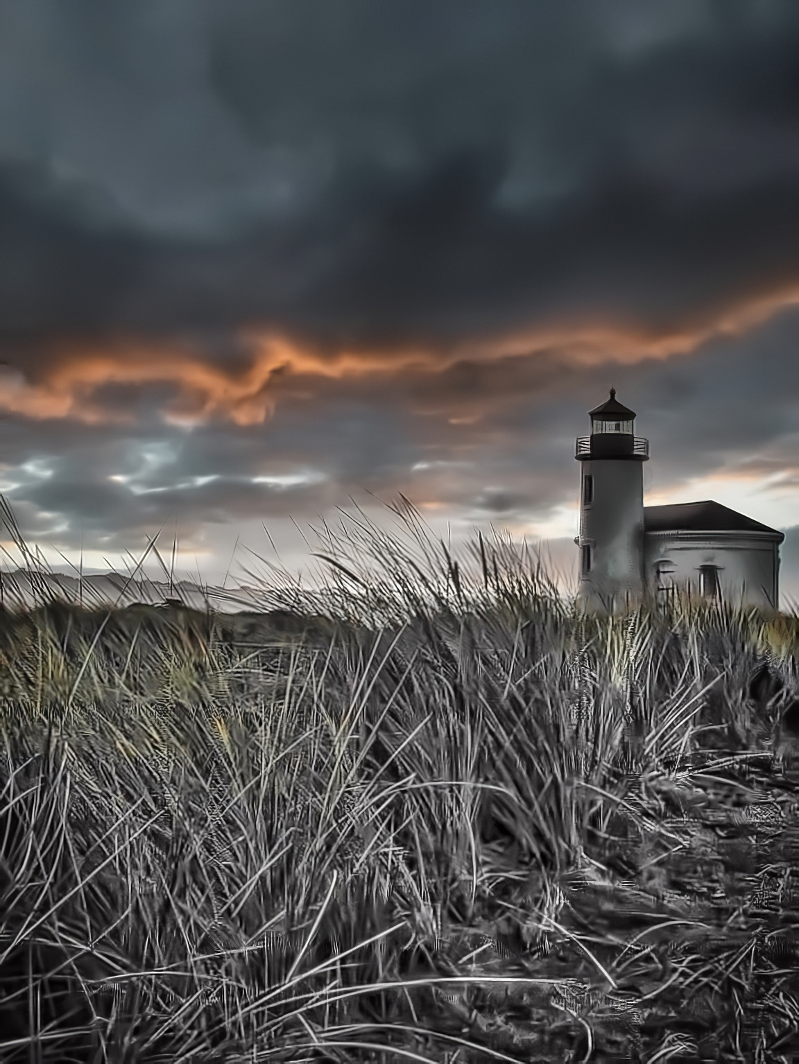 ST0311_0204AM  ~  Lonely Sentinel