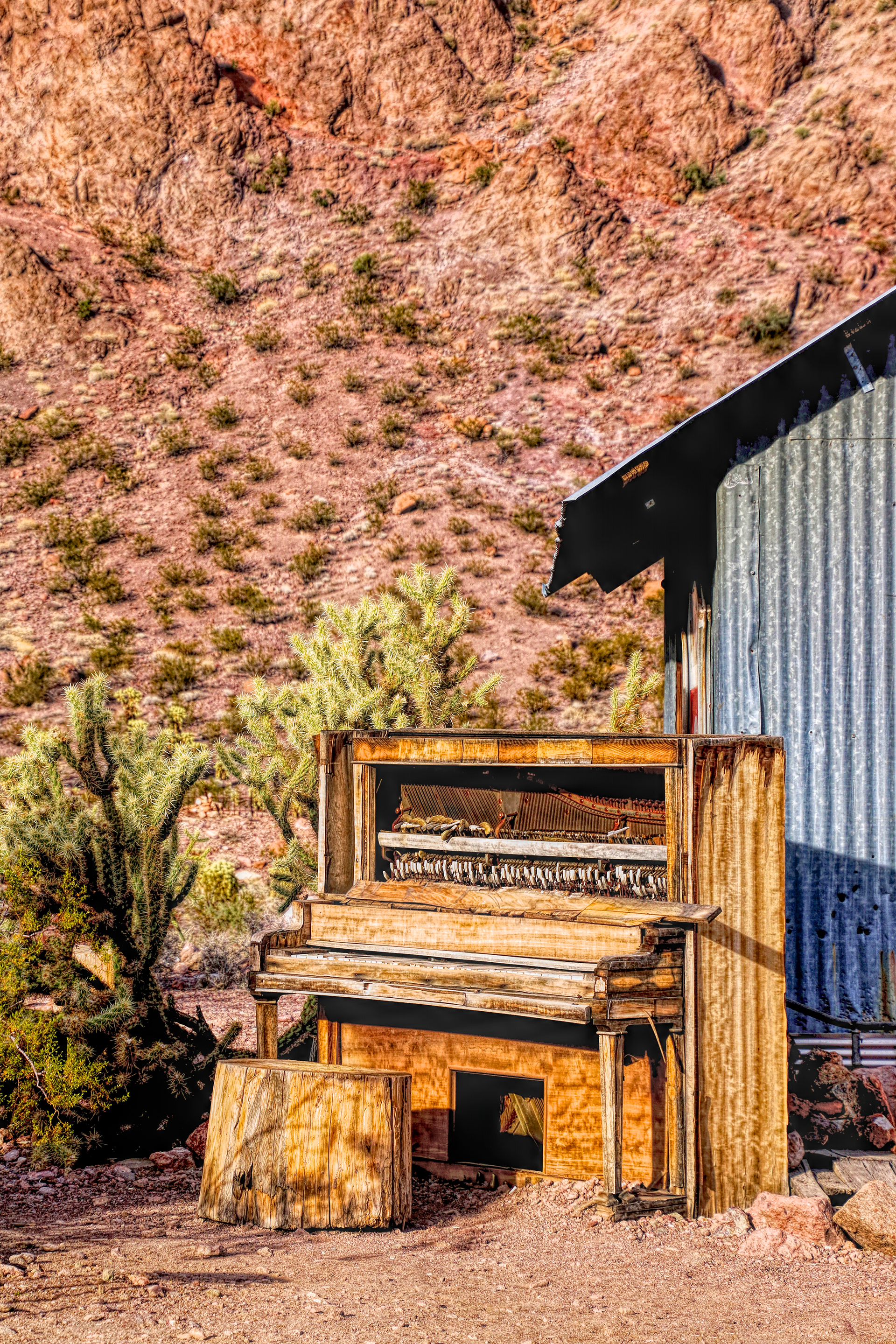 OB1711_6683AK  ~  Ailing Upright