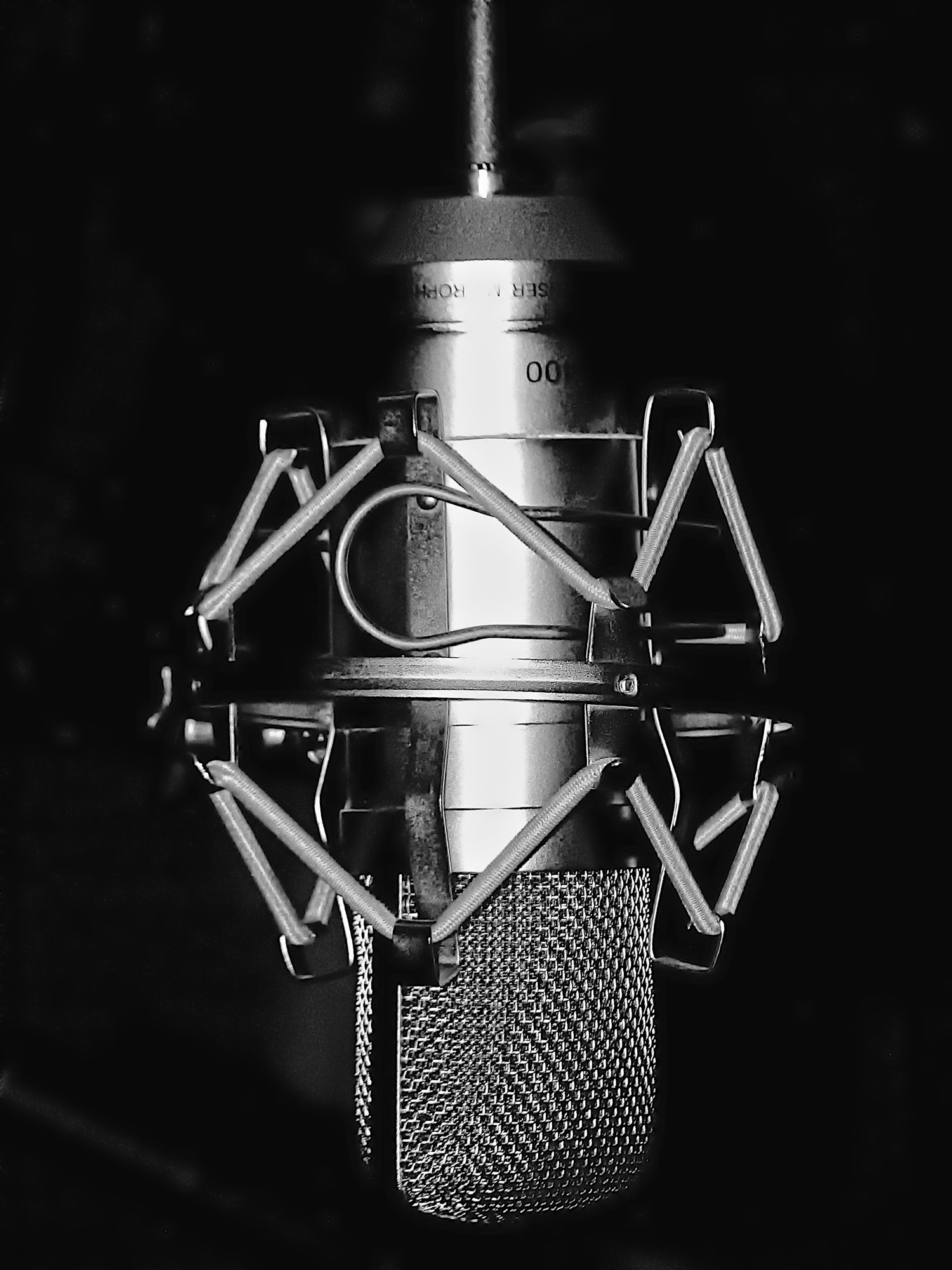 EQ1606_0731BB  ~  Mic