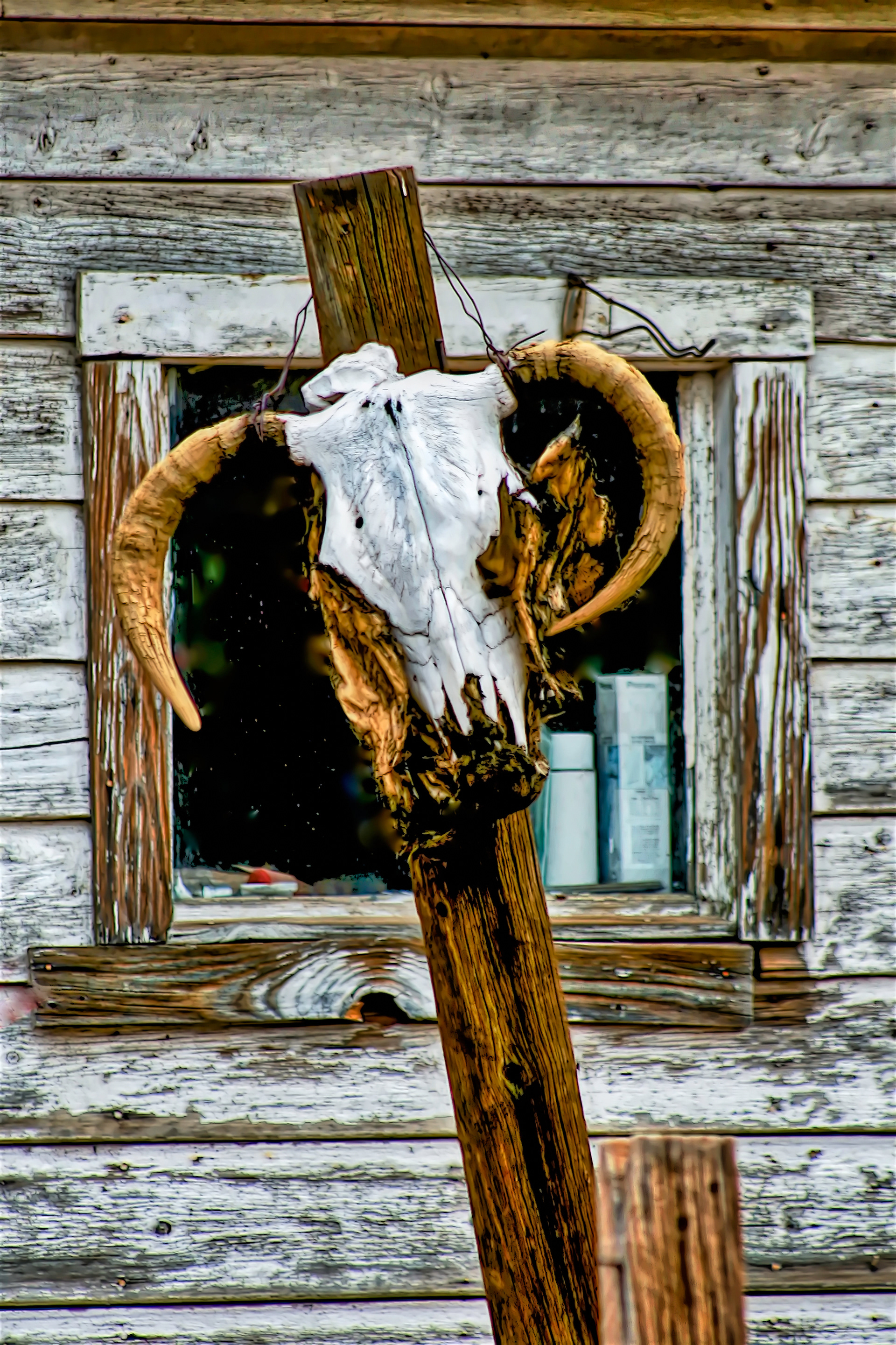 AN1405_7706AF  ~  Warning II