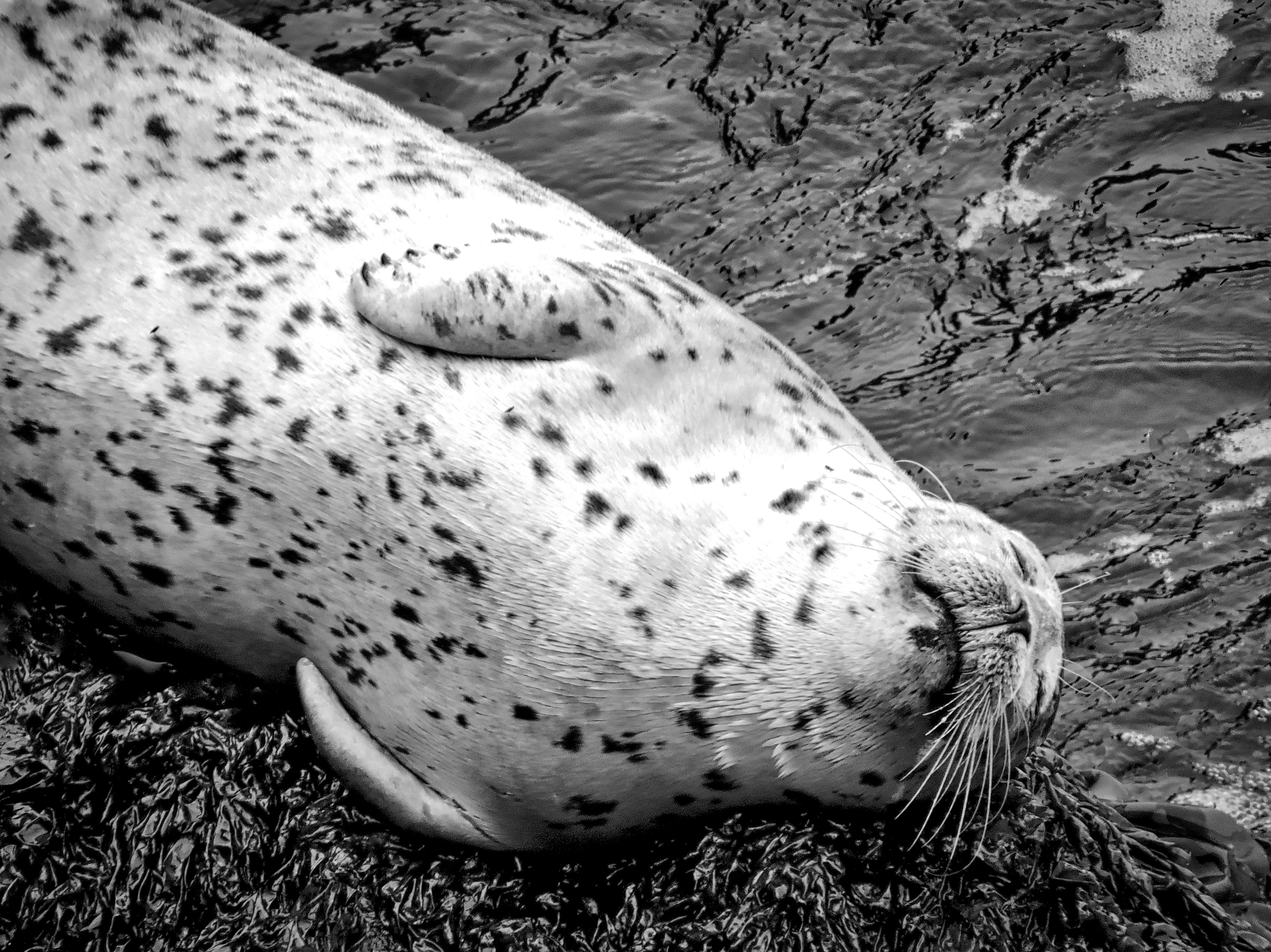 AN1605_1533BA  ~  Nappy Time