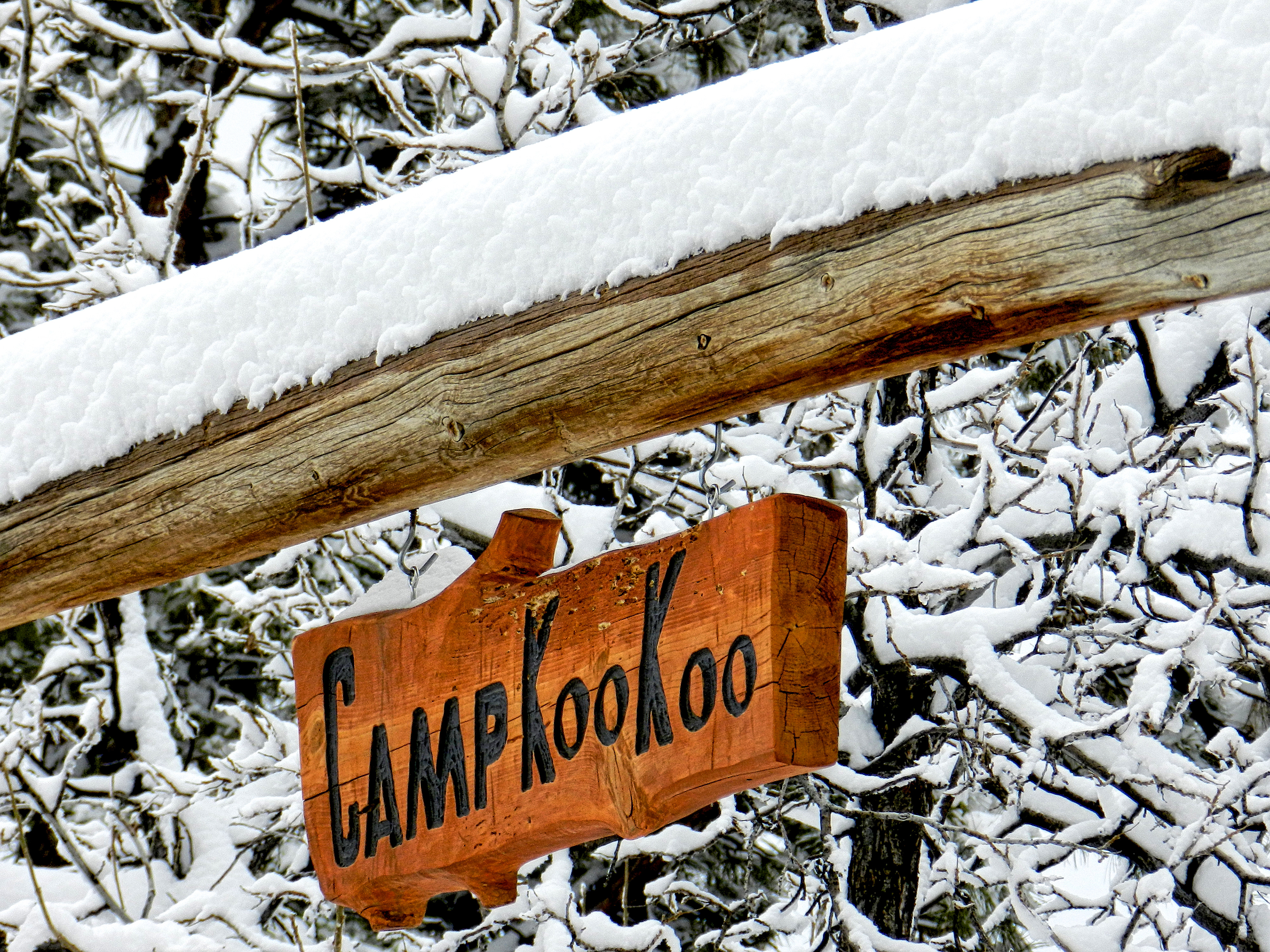 SG1112_1180AB  ~  Camp KooKoo