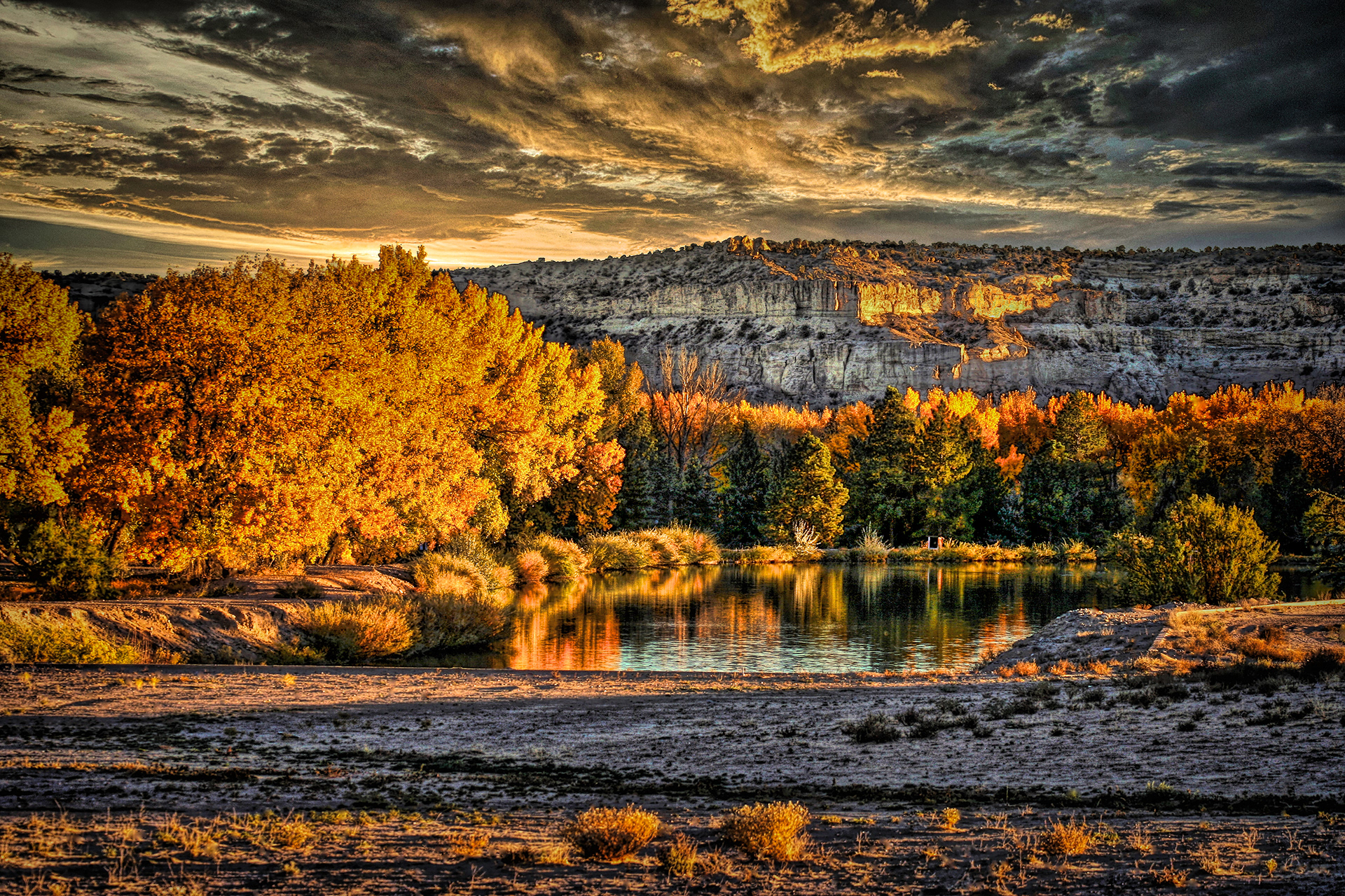 WS1210_9973AK  ~  Autumn Splendor