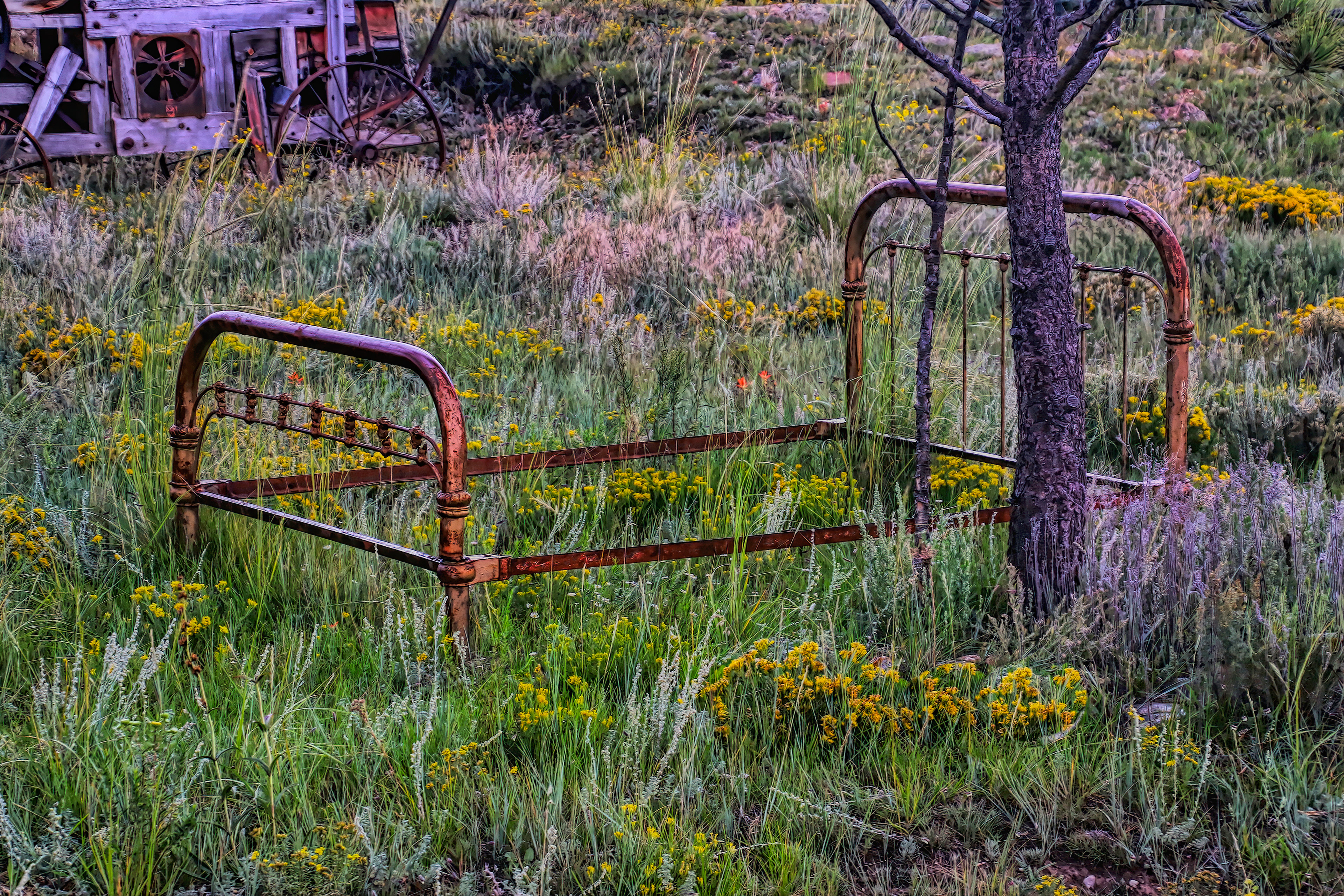 OB1708_1878AG  ~  Lost Dreams