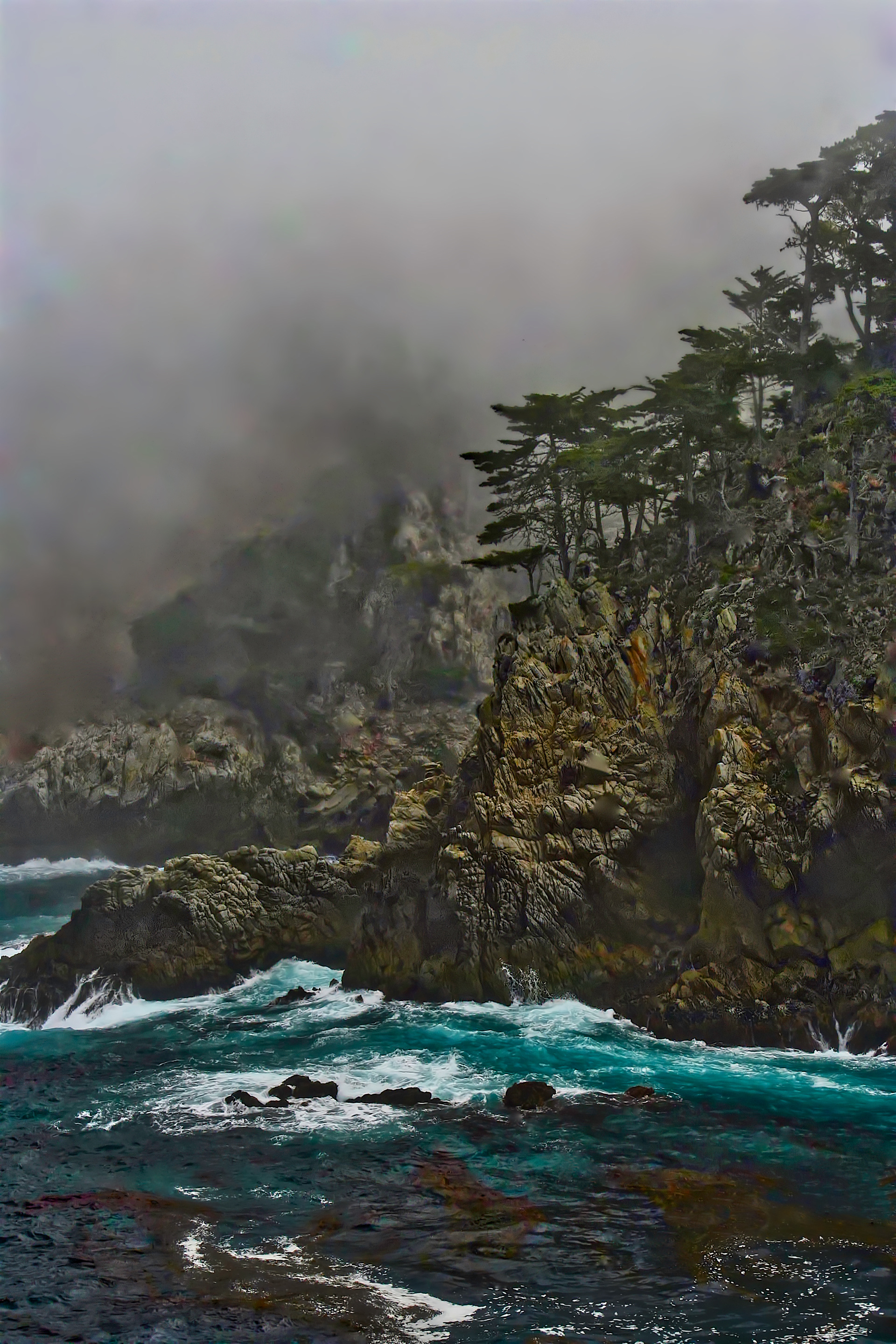 WS1605_2922AB  ~  Emerald Cove