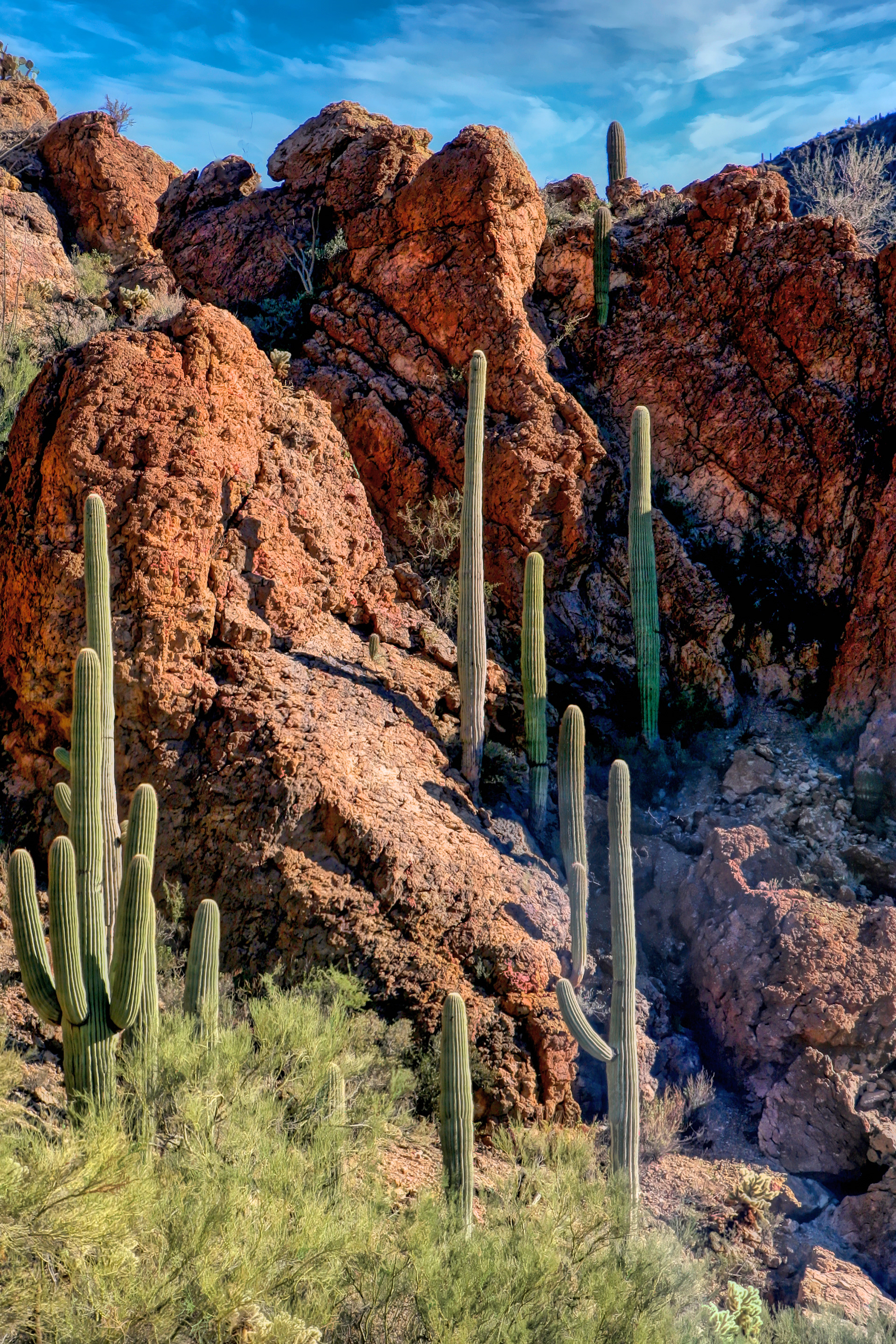 LS1512_2810AD  ~  Desert Guardians