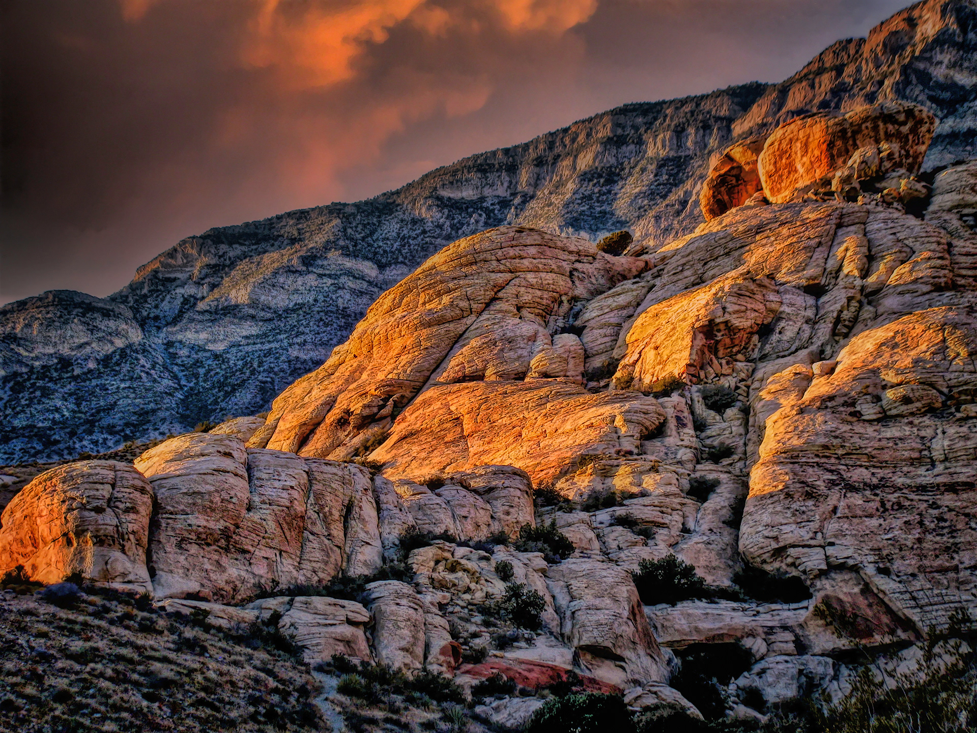 LS1112_6191AF  ~  Glowing Hillside