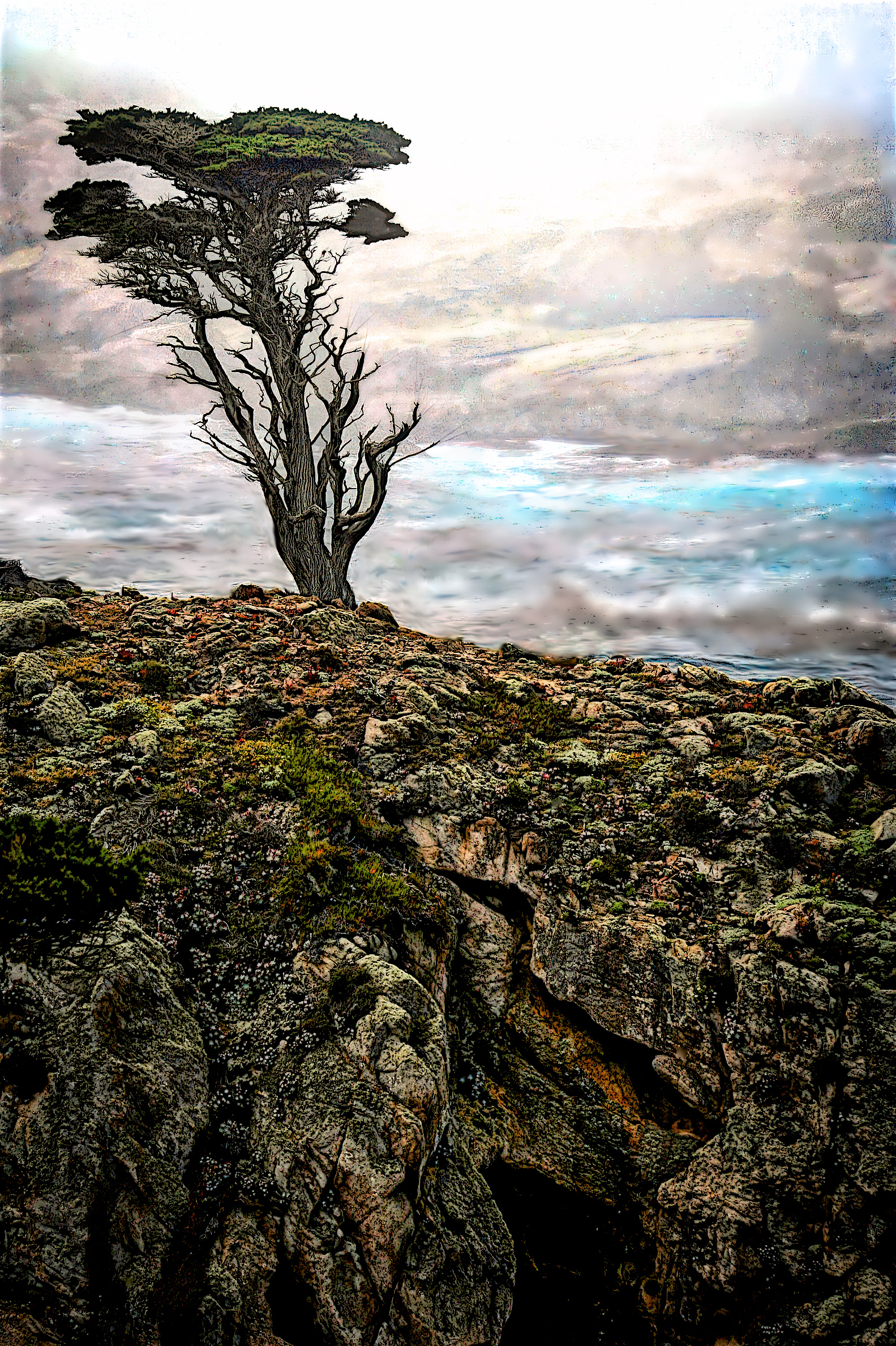 PL1605_2818AF  ~  Cliffside Sentinel