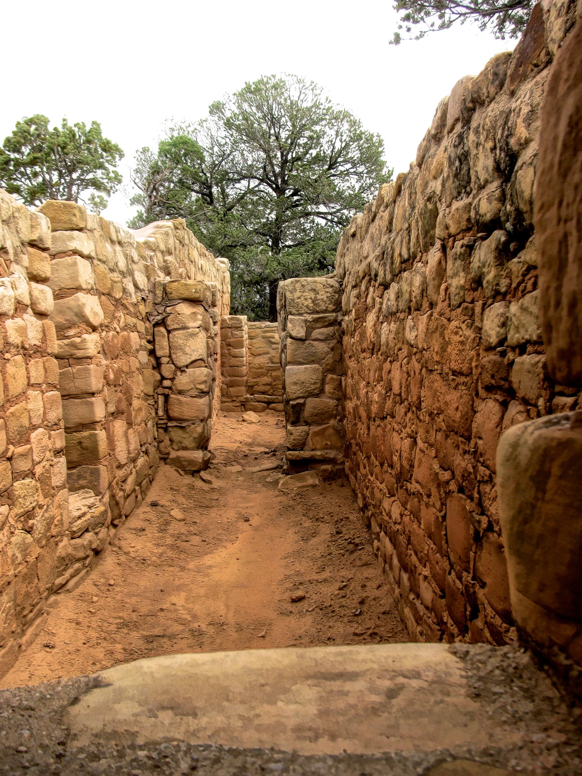 NC0909_2890AL ~ Corridor To The Past