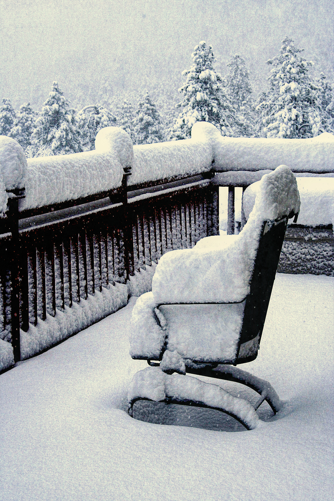 OB0902_1619AD  ~  Snowbound