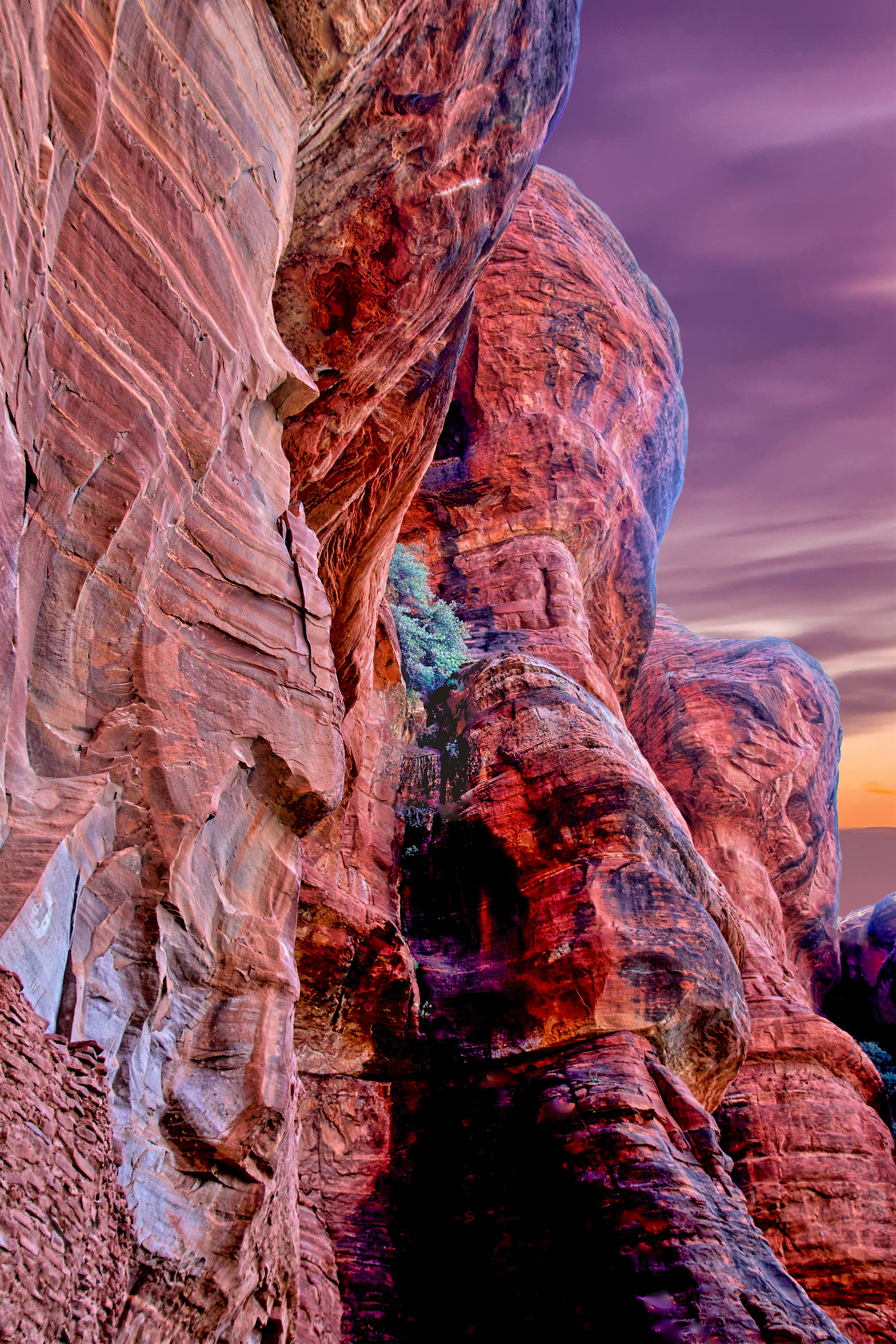 LS1709_5674AC  ~  High Life