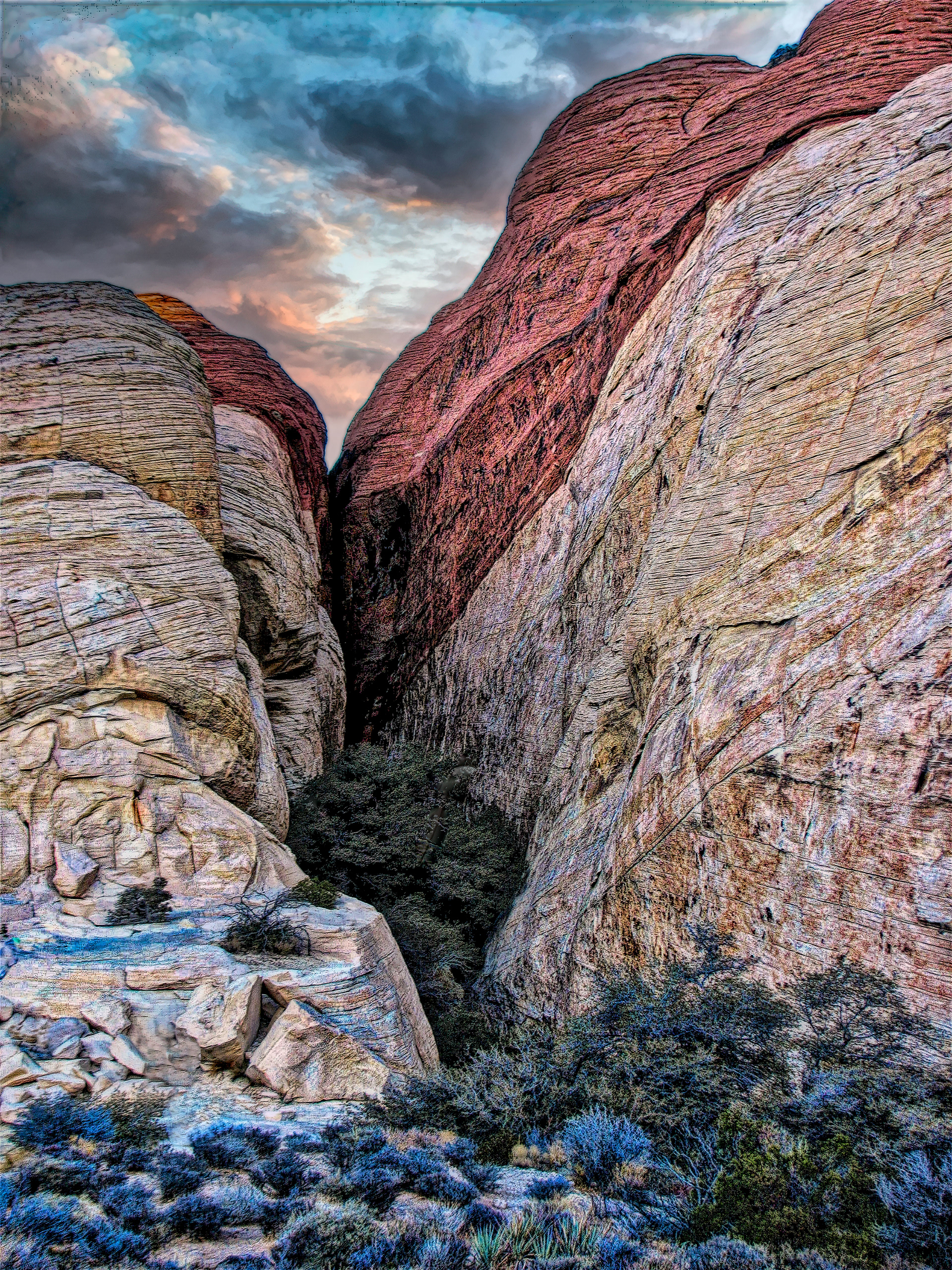 LS1112_6185AN  ~  Painted Canyon