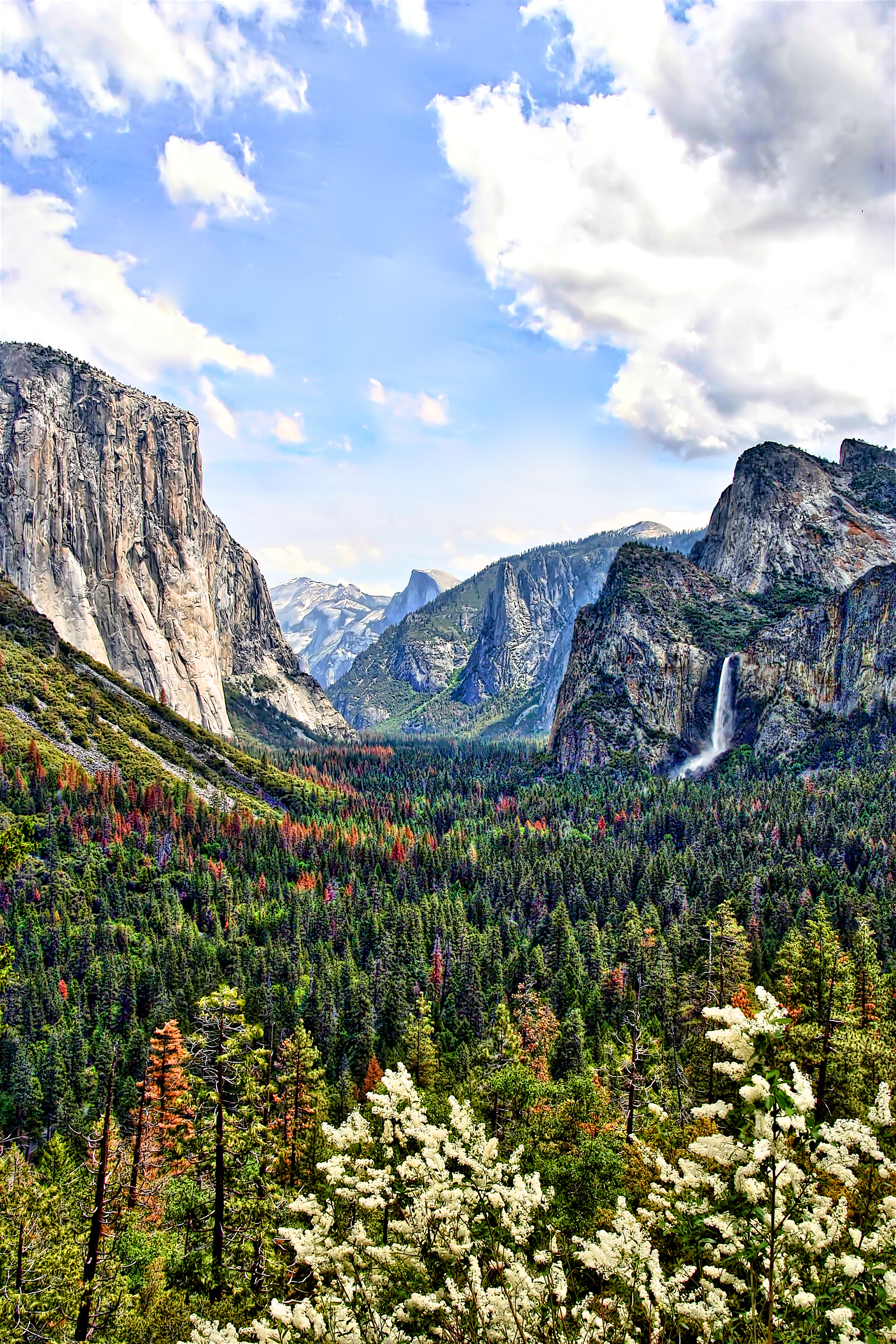LS1605_0821AC  ~  Yosemite Valley