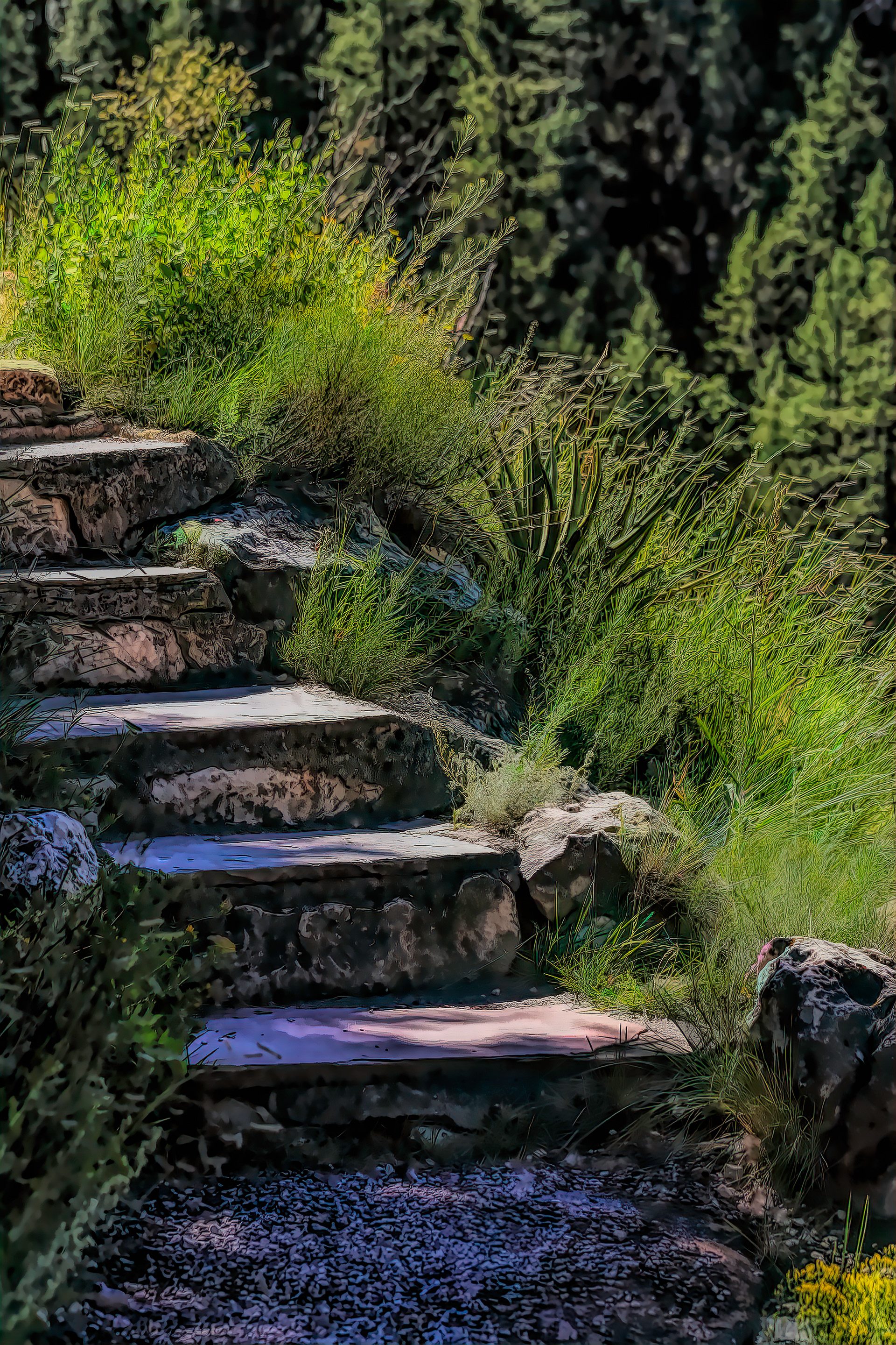 PW1009_6574AM  ~  Into The Light