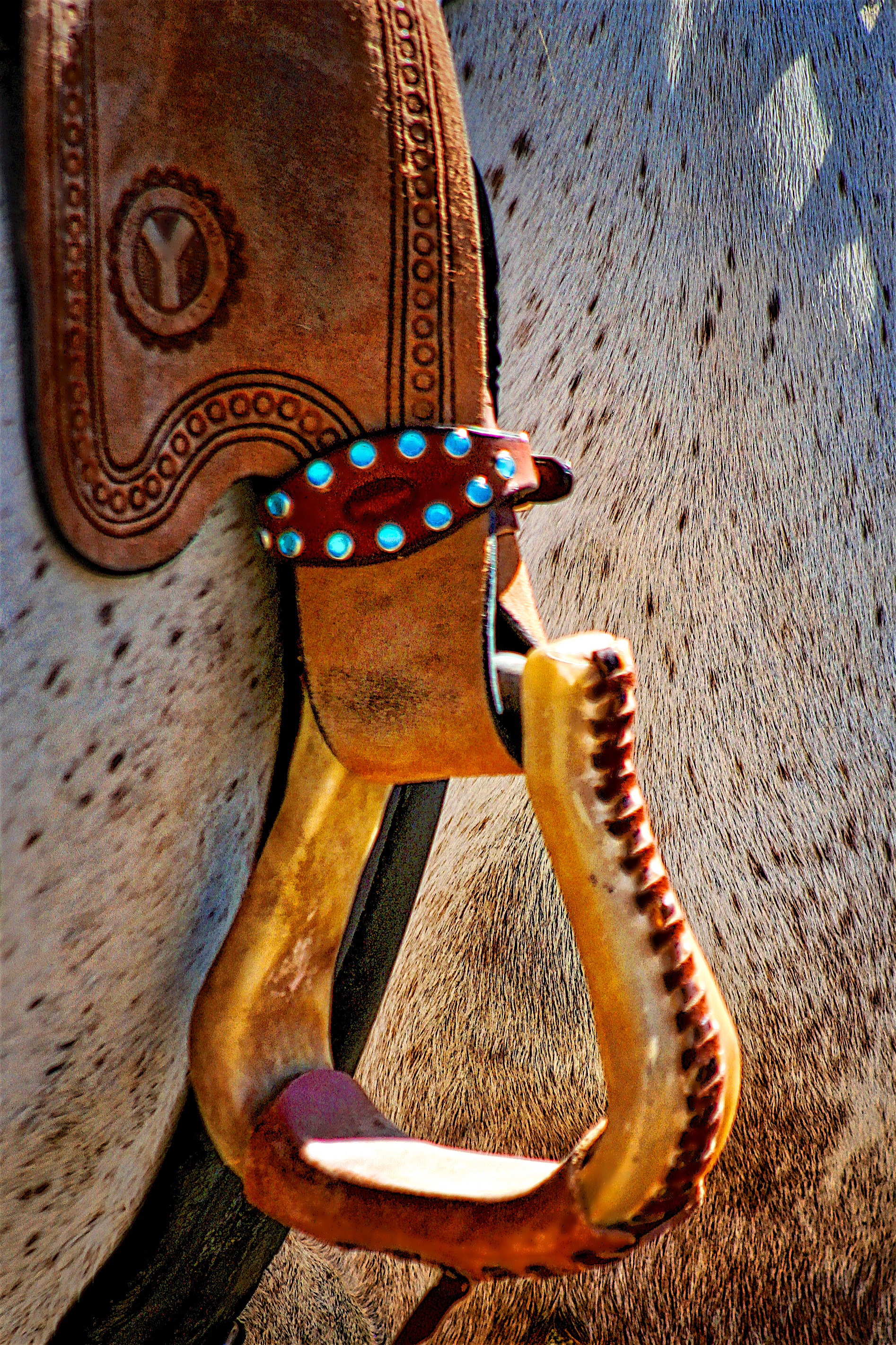 EQ1107_7955AB  ~  Bejeweled Stirrup