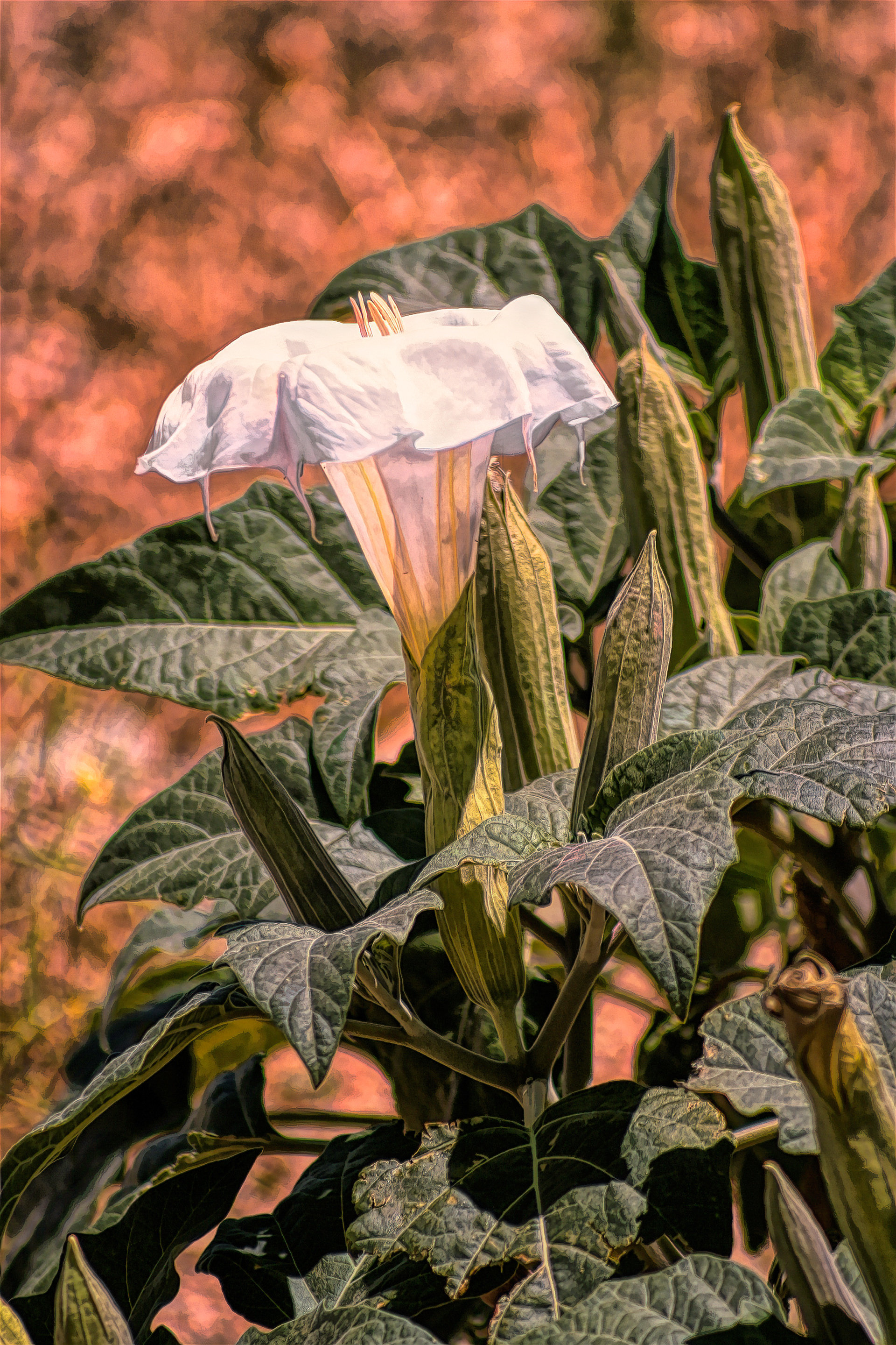 PL1005_5358AE  ~  Look But Don't Touch