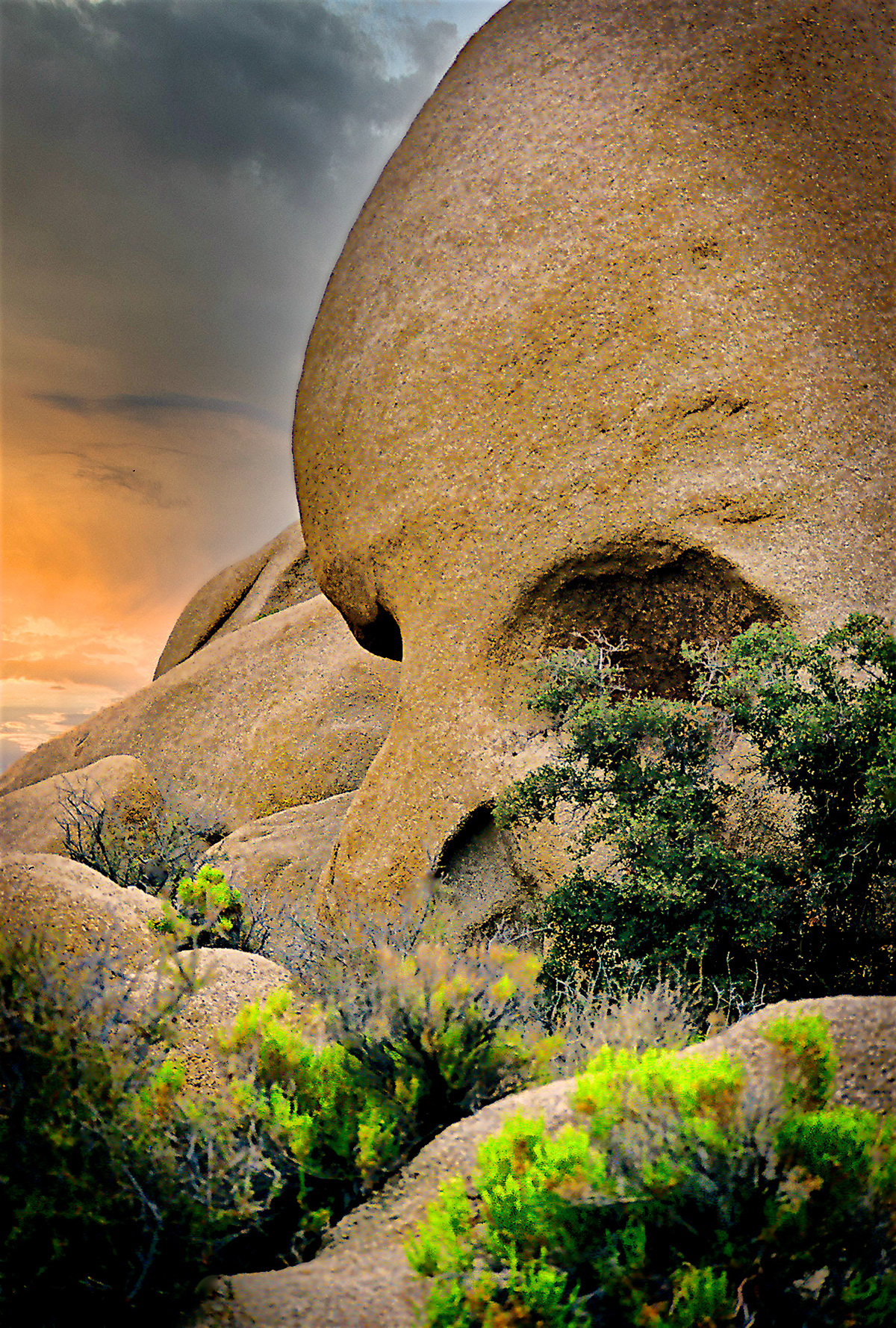 ZZ0408_4002AC  ~  Peek A Boo