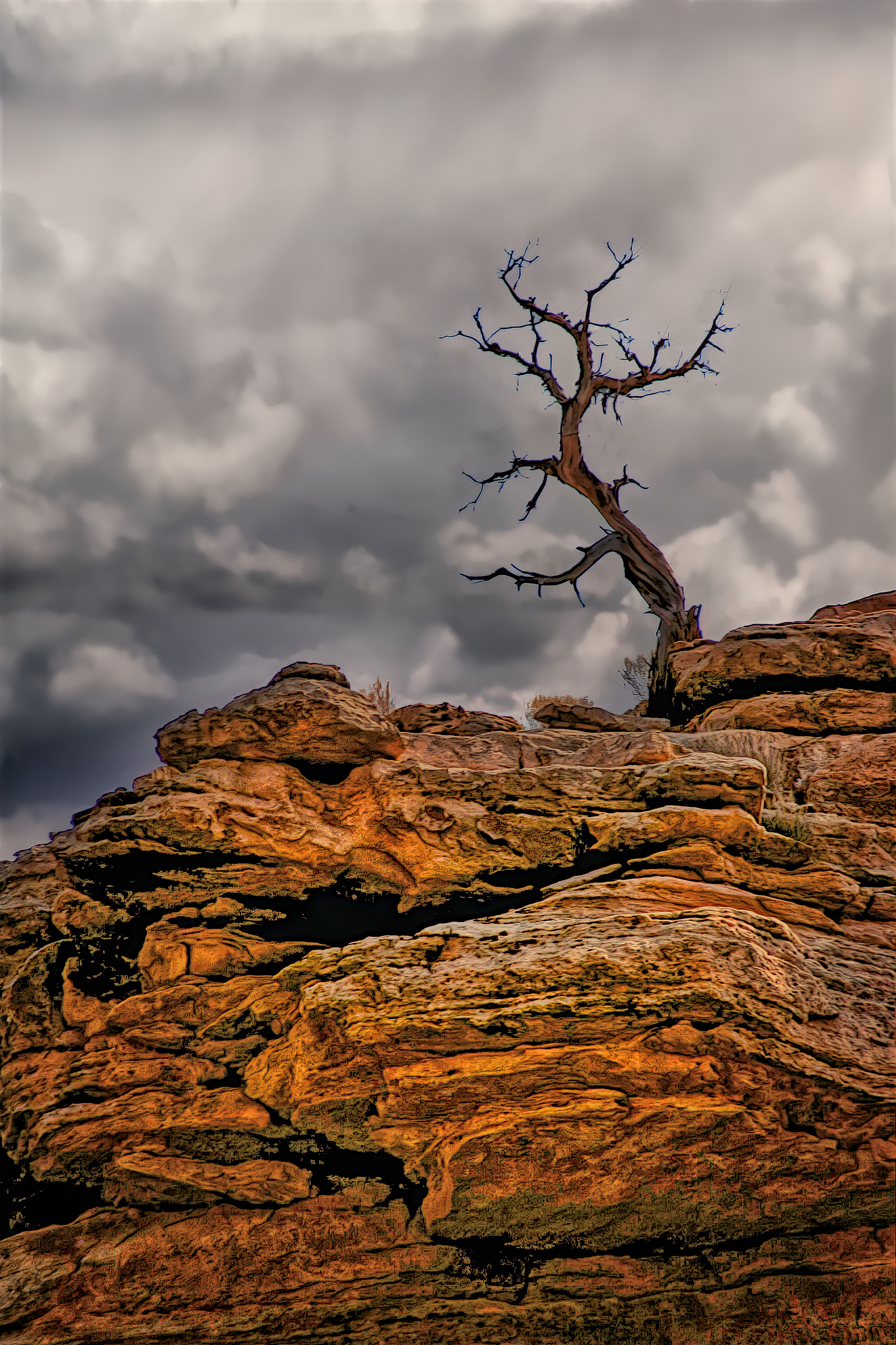 PL0909_2091AU  ~  Lone Sentry