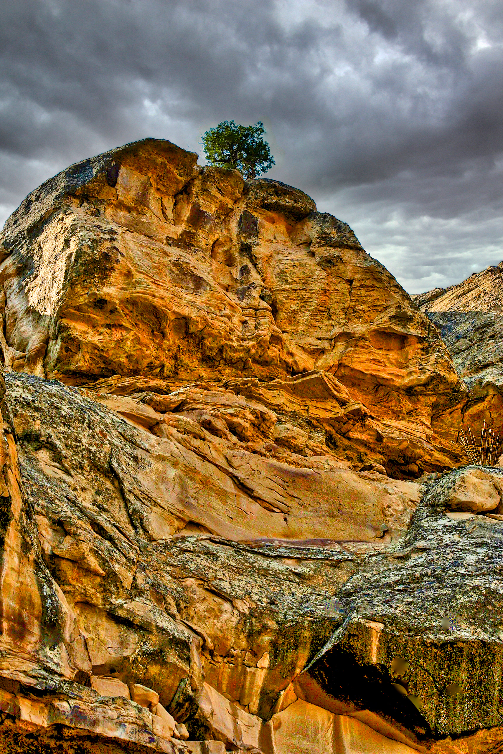 LS0909_2055AN  ~  Summit Sentry