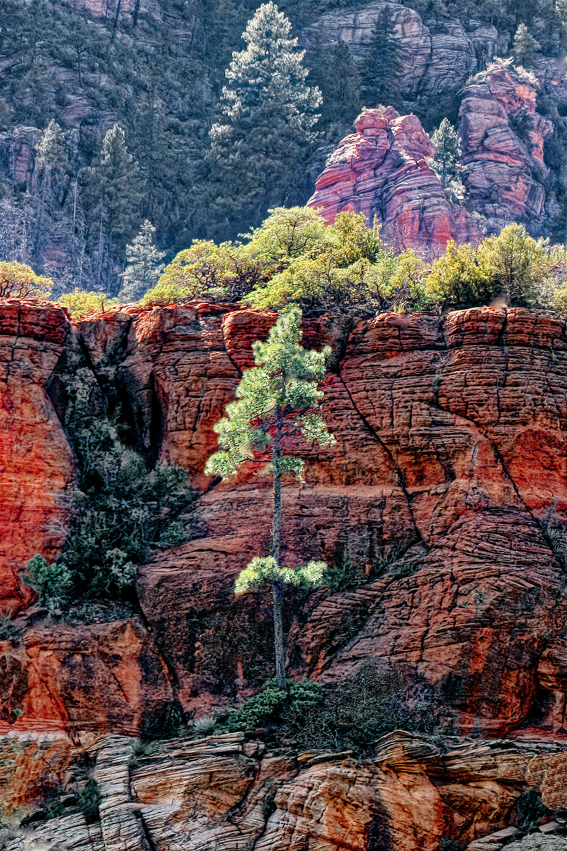 LS2109_4766AL  ~  Complementary Colors